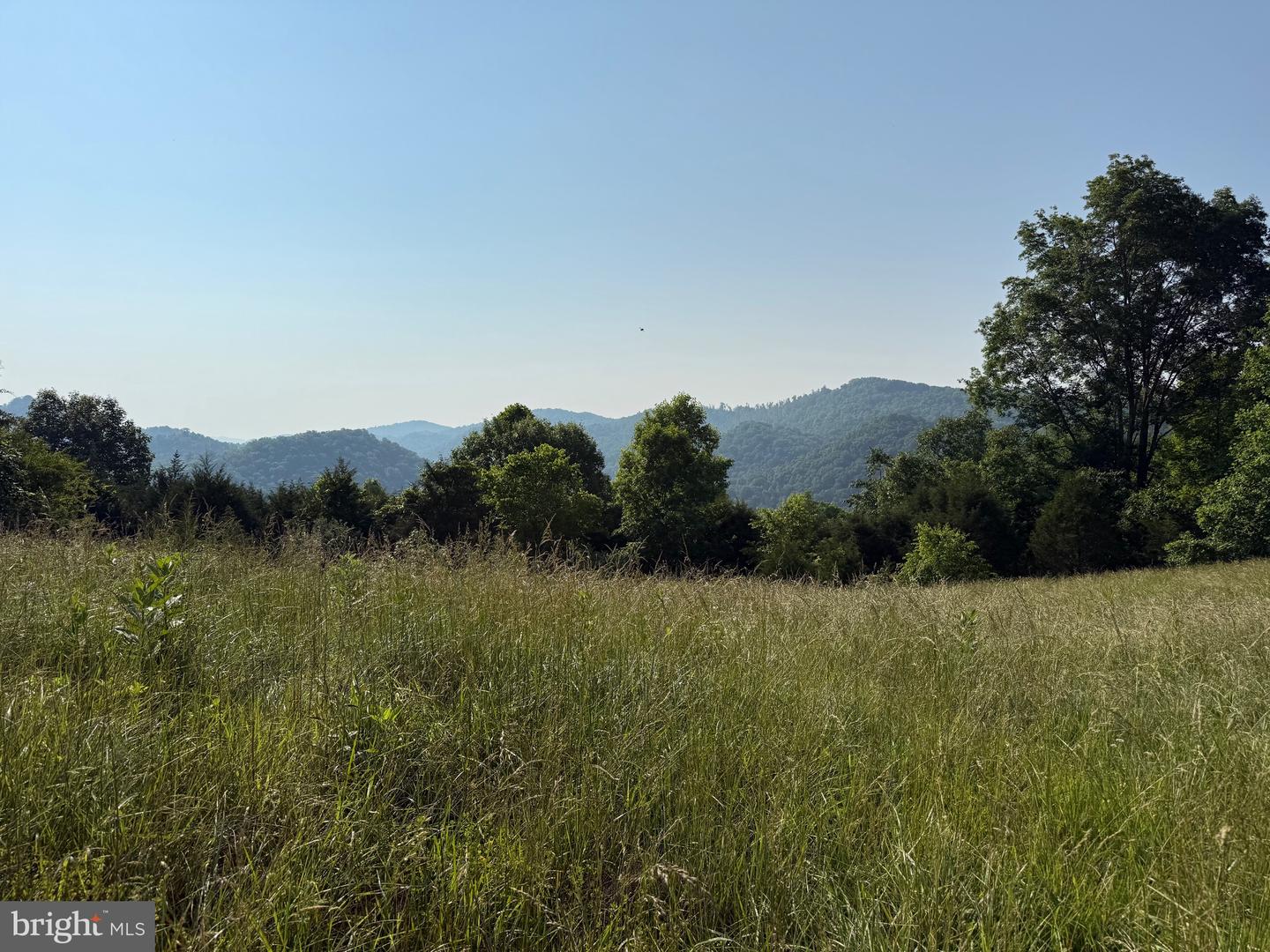 TBD BOULDER LN, DUFFIELD, Virginia 24244, ,Farm,For sale,TBD BOULDER LN,VASO2000008 MLS # VASO2000008
