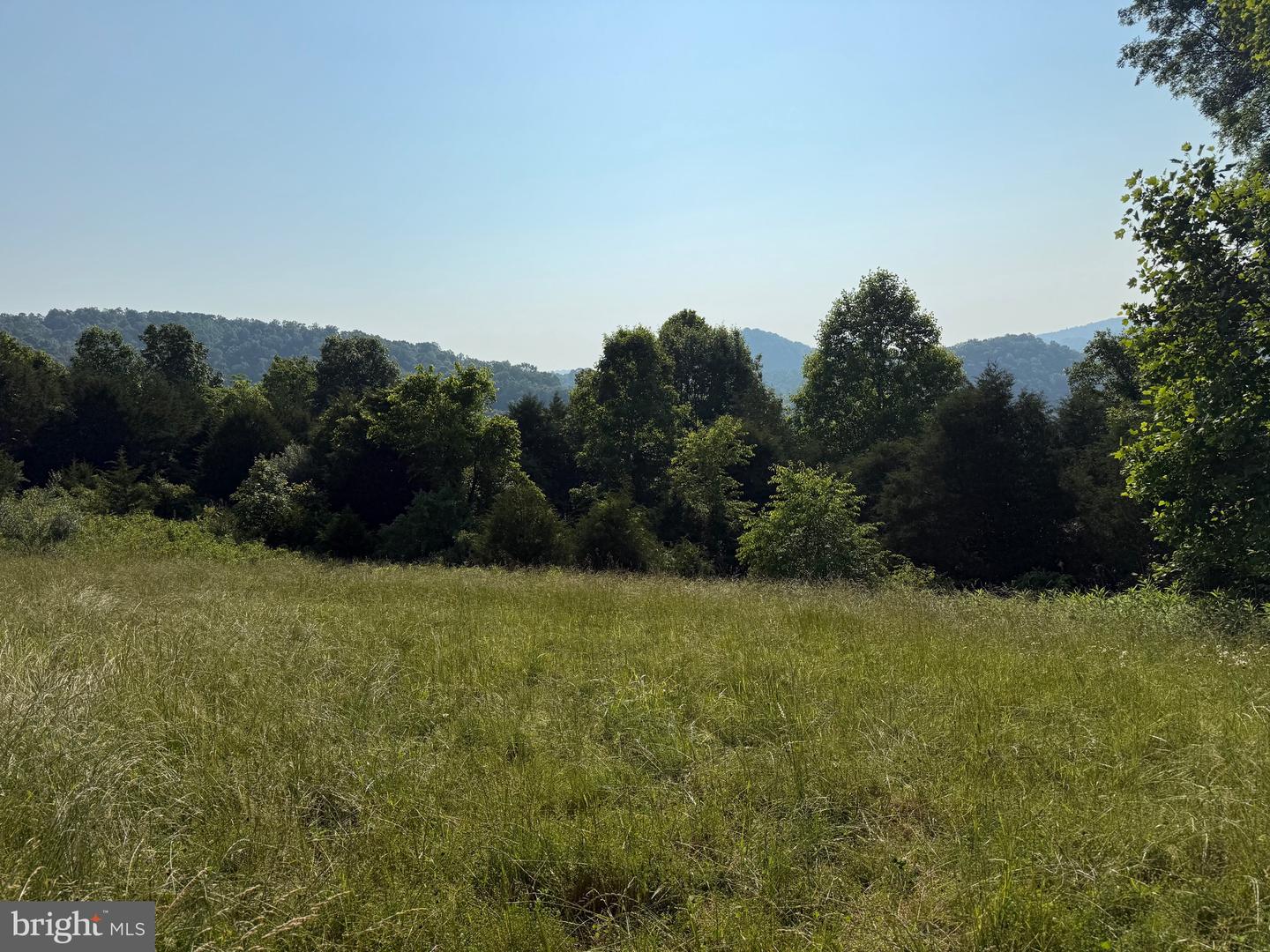 TBD BOULDER LN, DUFFIELD, Virginia 24244, ,Farm,For sale,TBD BOULDER LN,VASO2000008 MLS # VASO2000008