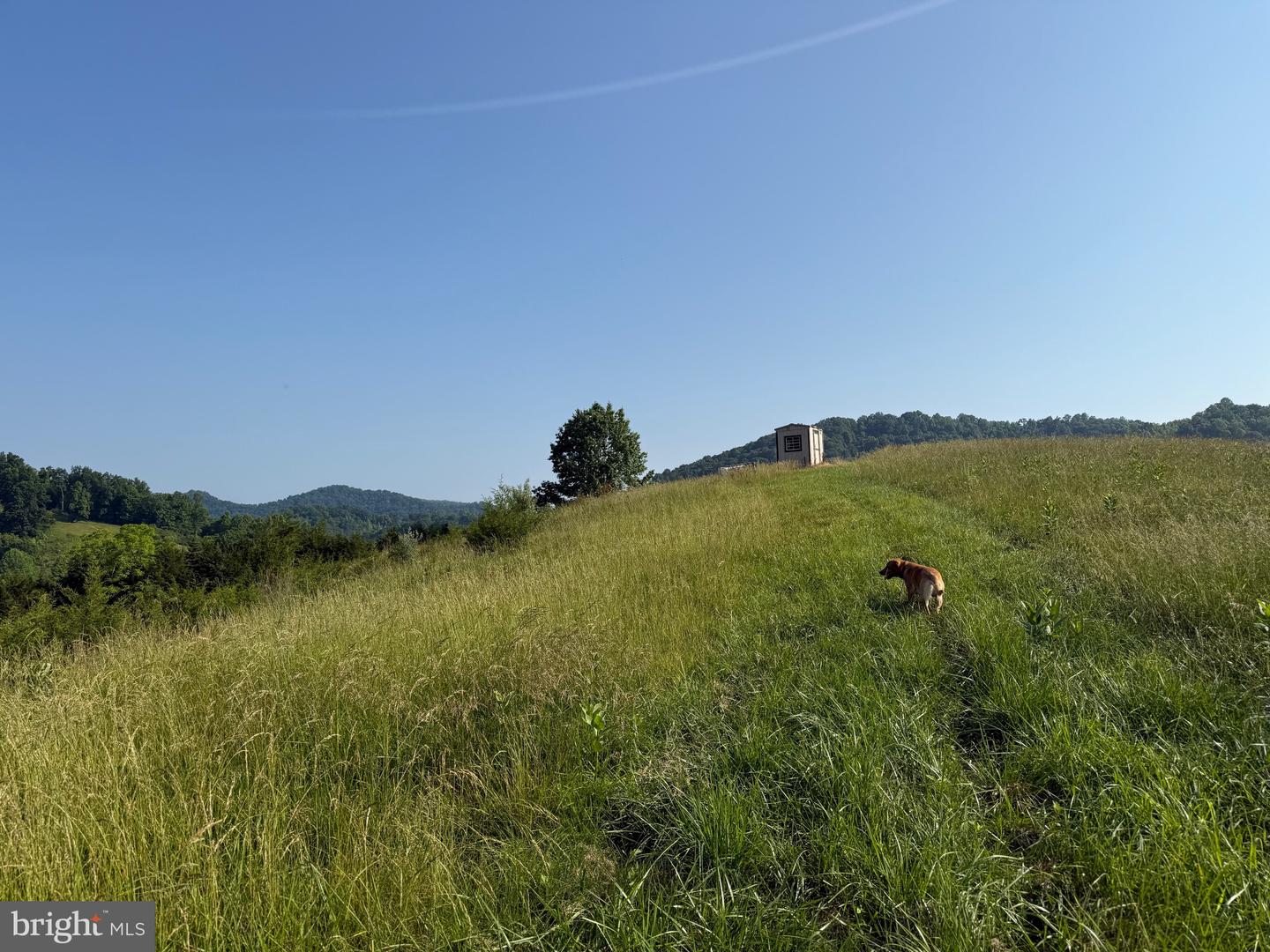 TBD BOULDER LN, DUFFIELD, Virginia 24244, ,Farm,For sale,TBD BOULDER LN,VASO2000008 MLS # VASO2000008