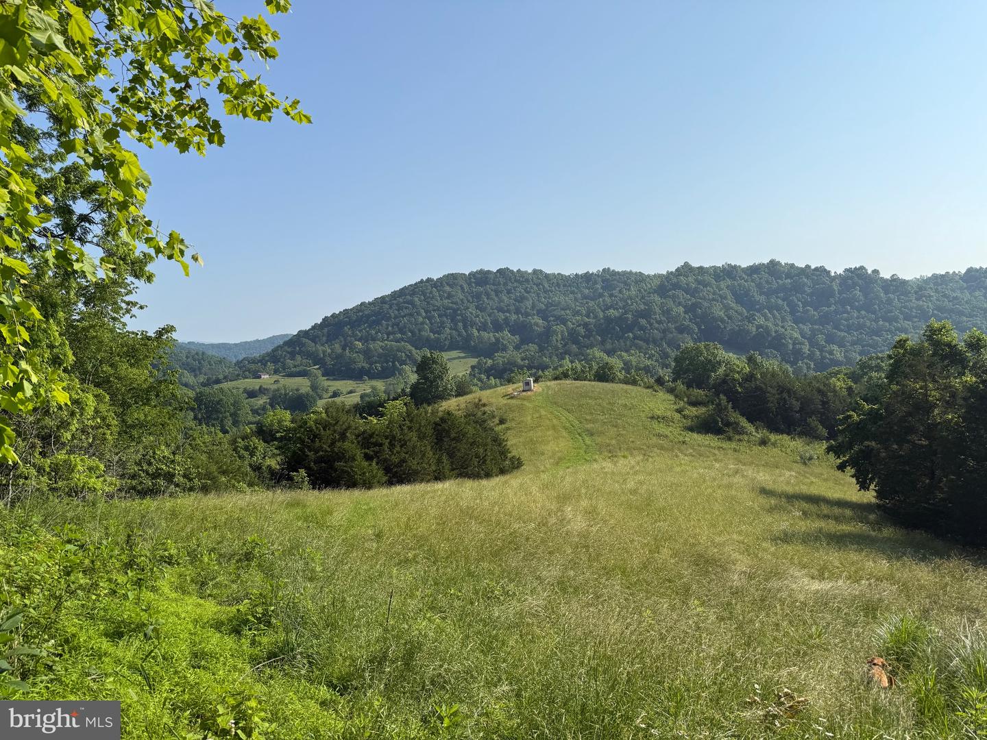 TBD BOULDER LN, DUFFIELD, Virginia 24244, ,Farm,For sale,TBD BOULDER LN,VASO2000008 MLS # VASO2000008