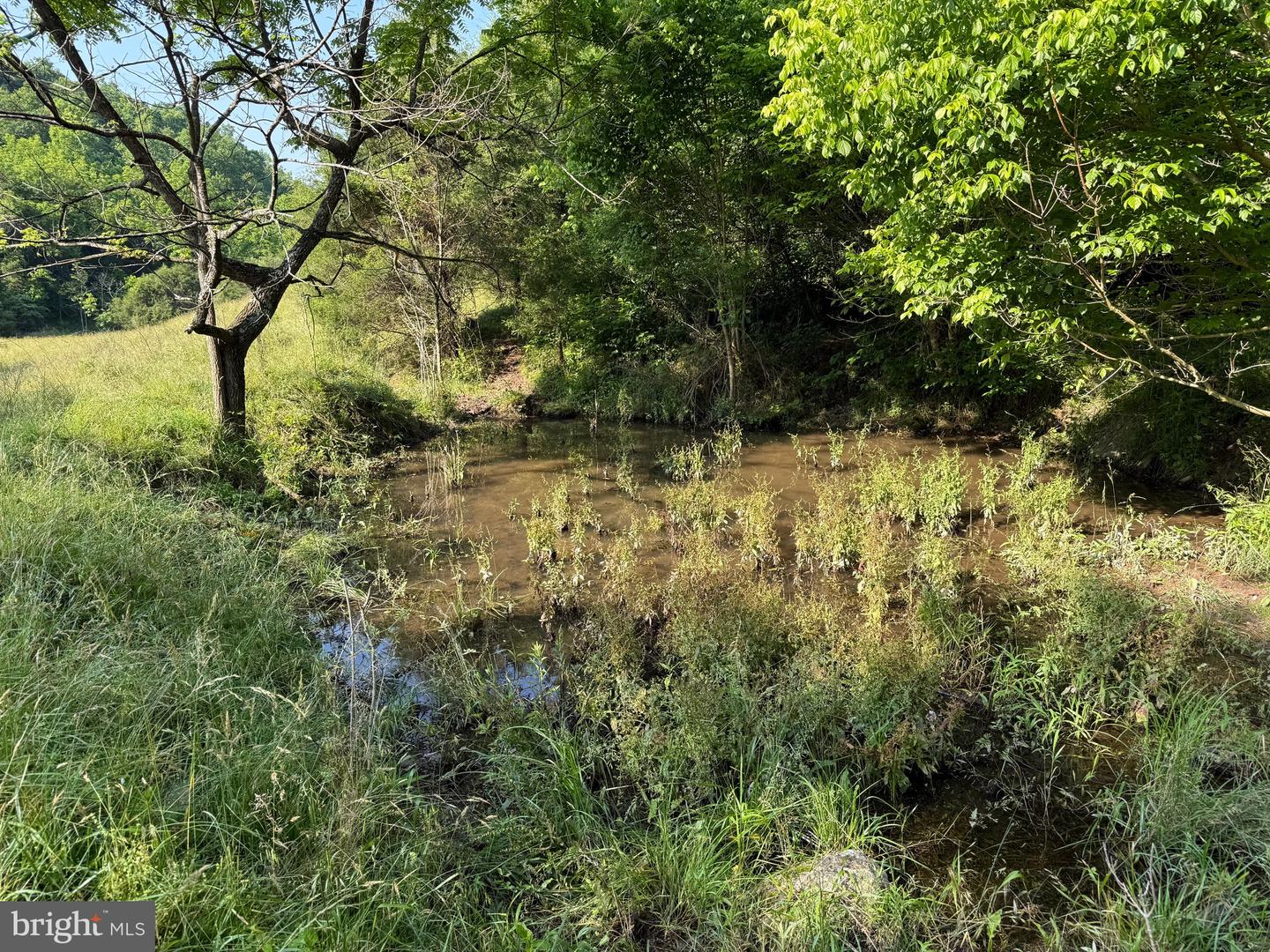 TBD BOULDER LN, DUFFIELD, Virginia 24244, ,Farm,For sale,TBD BOULDER LN,VASO2000008 MLS # VASO2000008