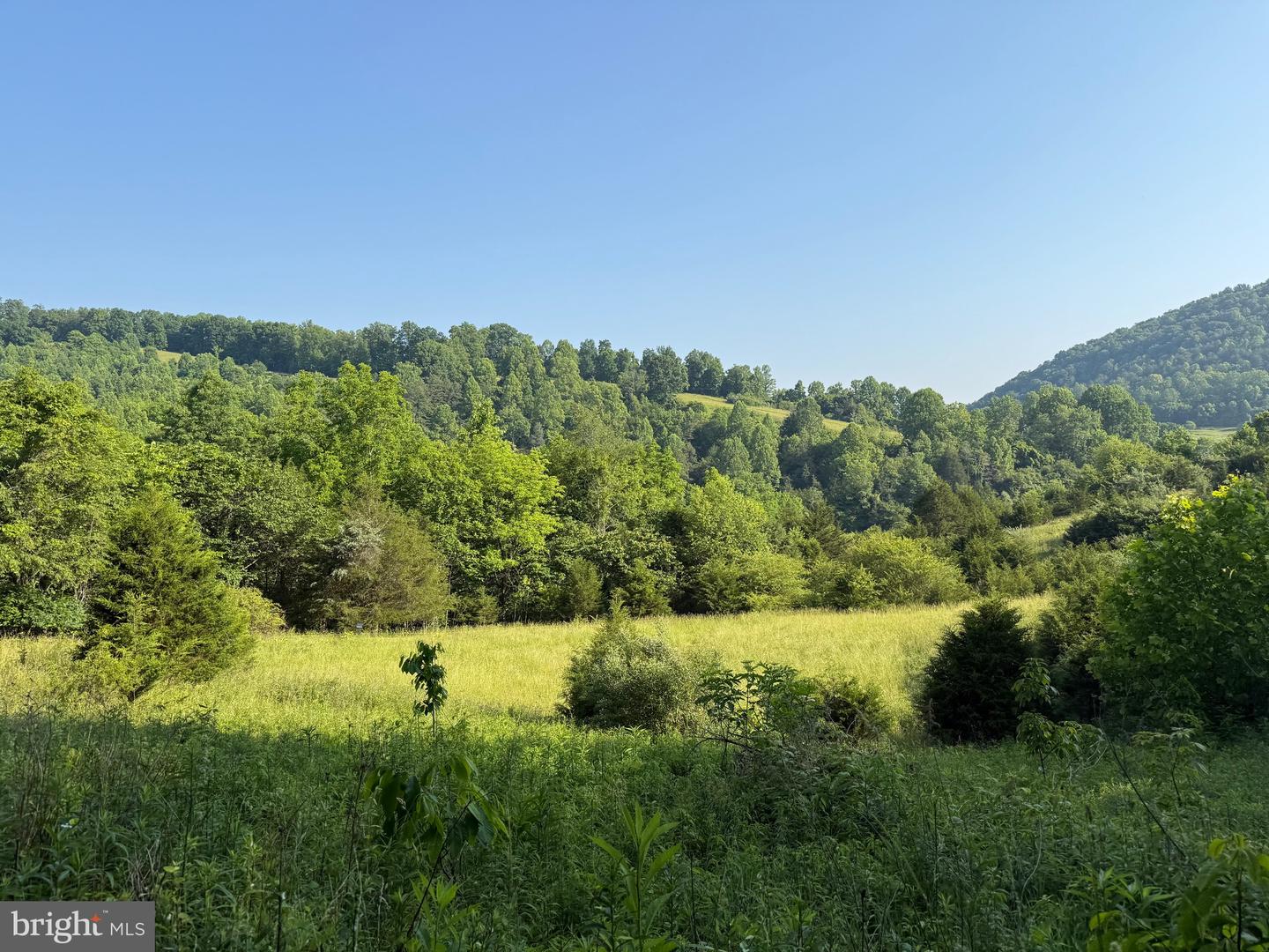 TBD BOULDER LN, DUFFIELD, Virginia 24244, ,Farm,For sale,TBD BOULDER LN,VASO2000008 MLS # VASO2000008