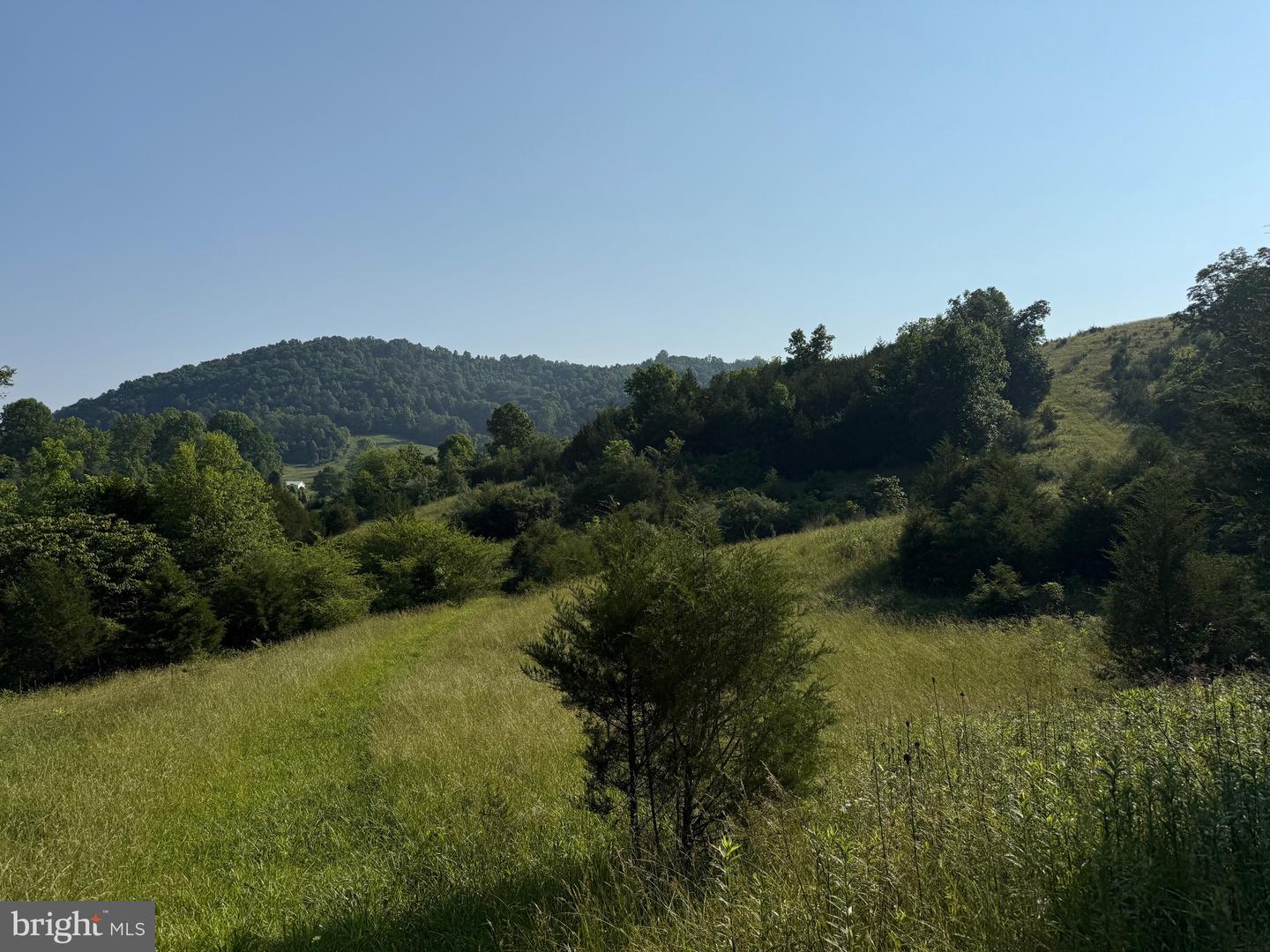 TBD BOULDER LN, DUFFIELD, Virginia 24244, ,Farm,For sale,TBD BOULDER LN,VASO2000008 MLS # VASO2000008