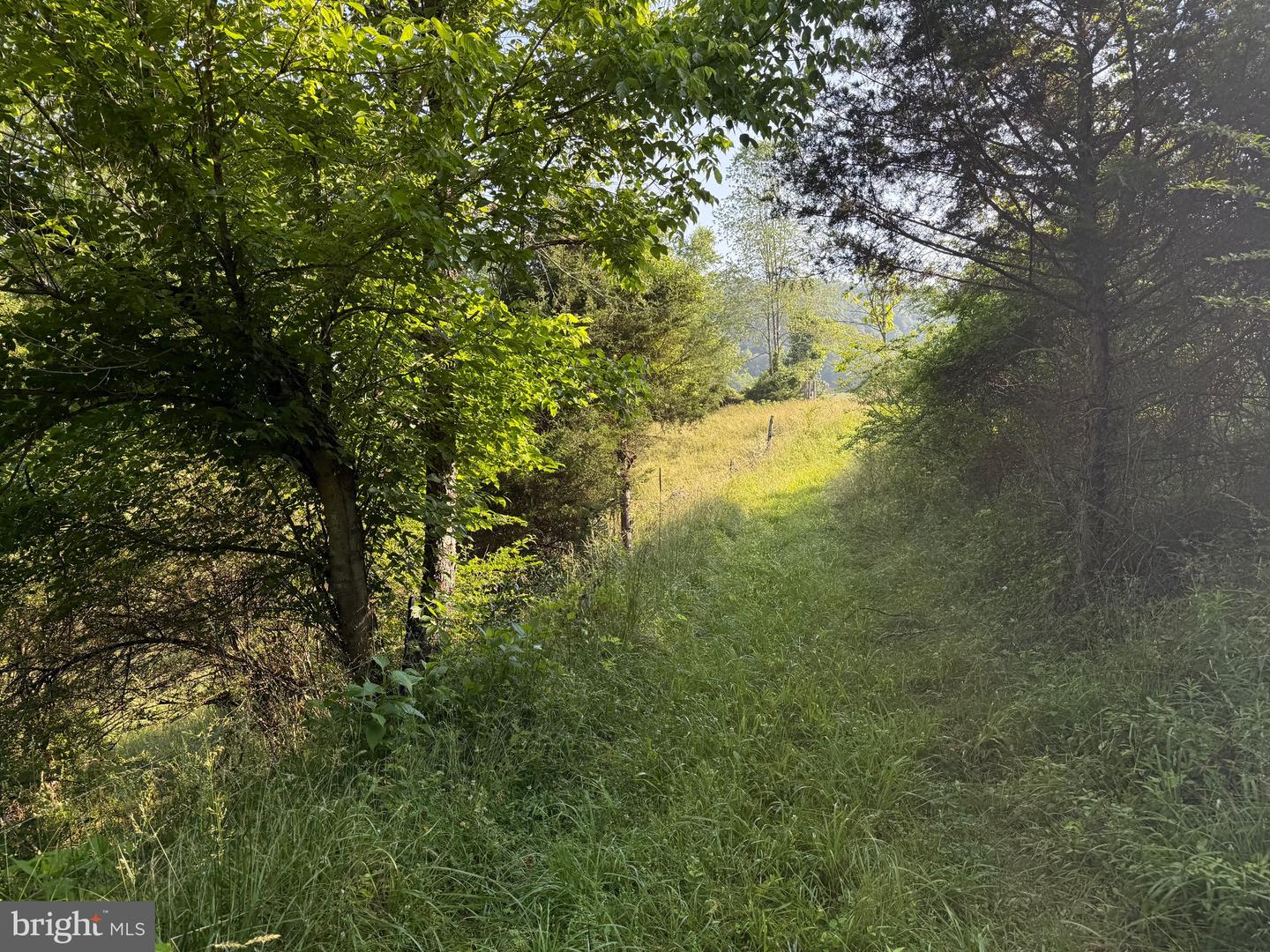 TBD BOULDER LN, DUFFIELD, Virginia 24244, ,Farm,For sale,TBD BOULDER LN,VASO2000008 MLS # VASO2000008