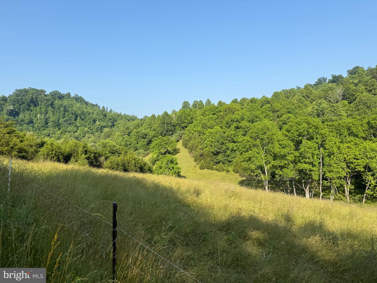 TBD BOULDER LN, DUFFIELD, Virginia 24244, ,Farm,For sale,TBD BOULDER LN,VASO2000008 MLS # VASO2000008