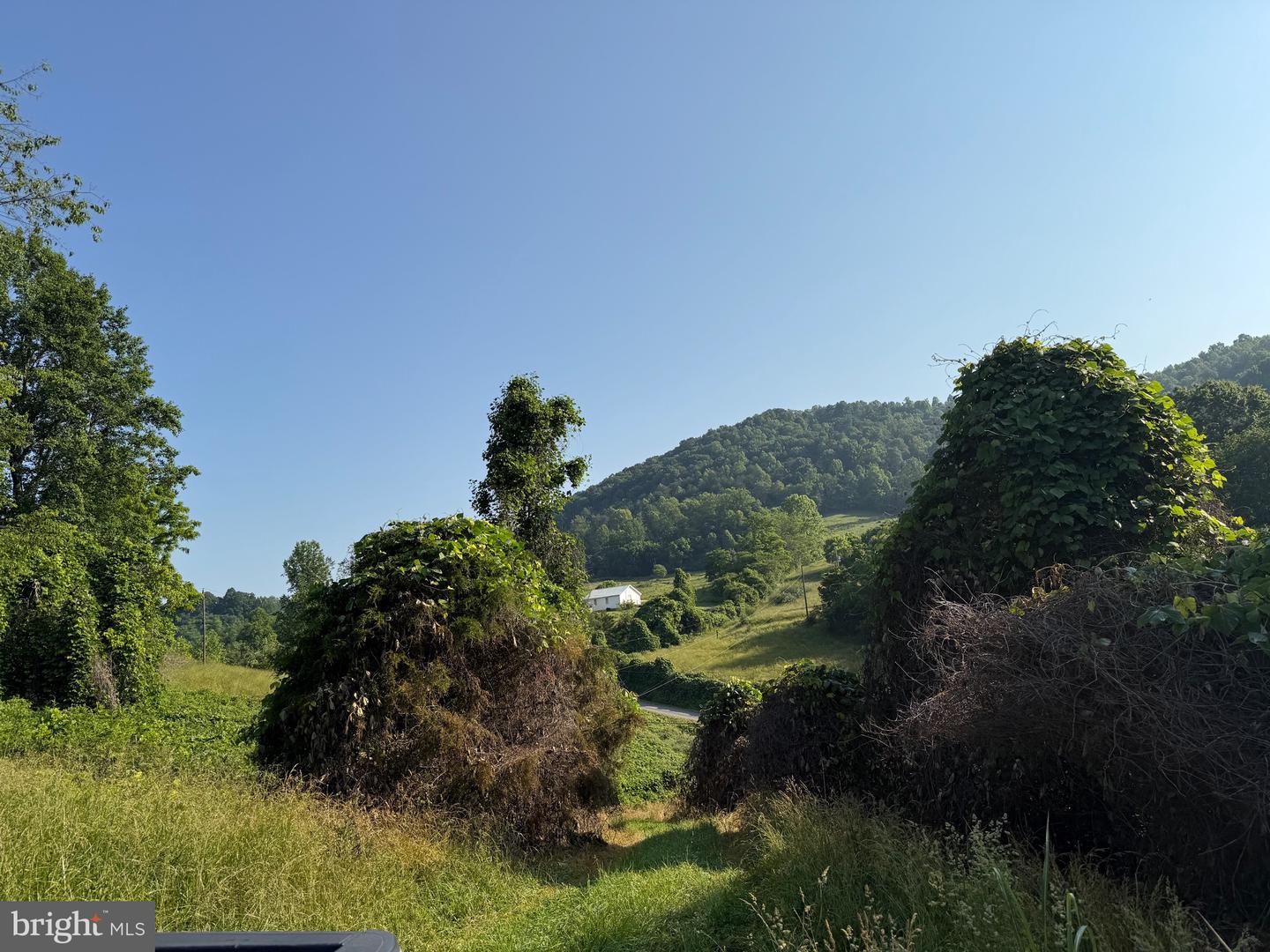 TBD BOULDER LN, DUFFIELD, Virginia 24244, ,Farm,For sale,TBD BOULDER LN,VASO2000008 MLS # VASO2000008