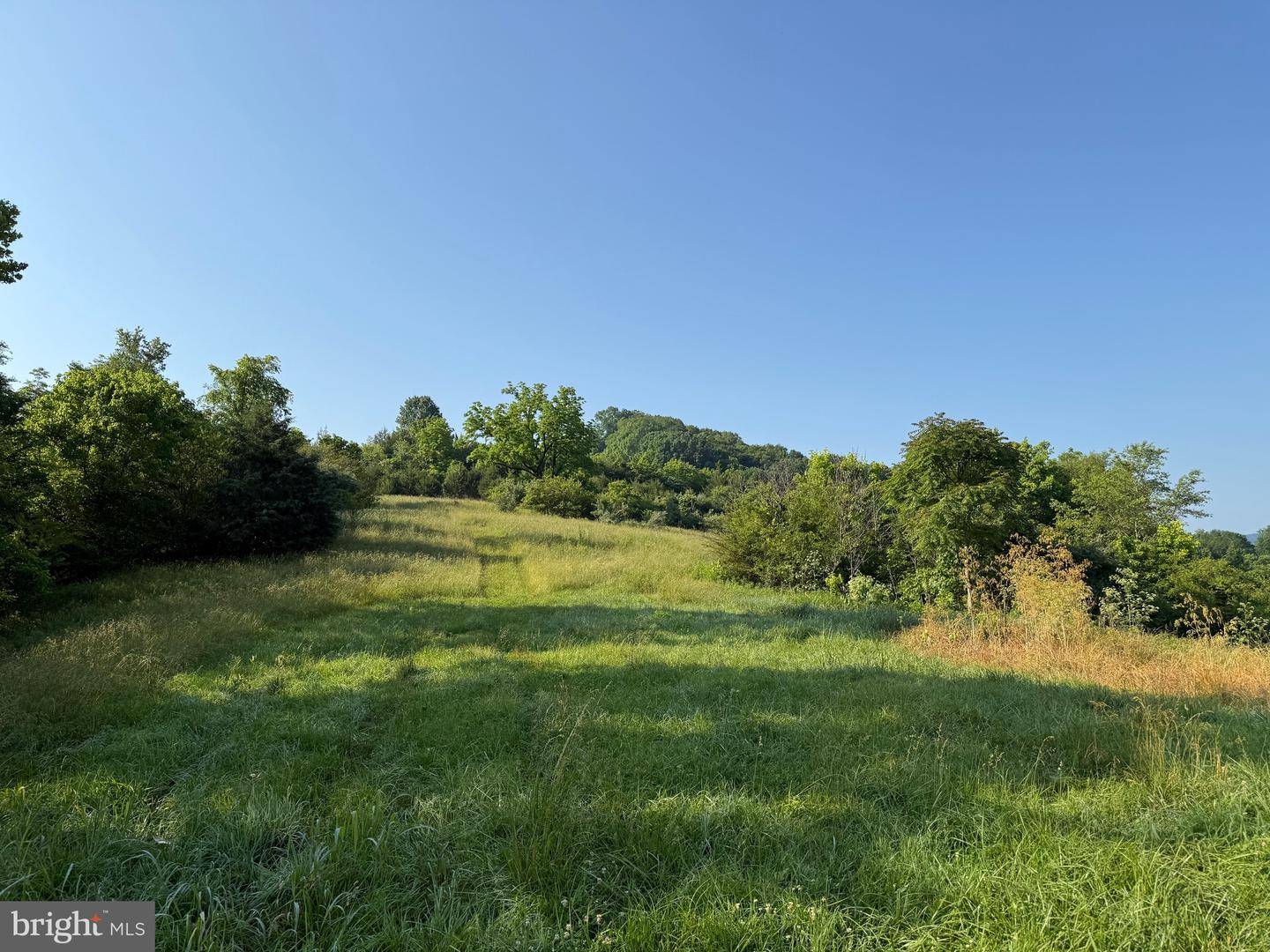 TBD BOULDER LN, DUFFIELD, Virginia 24244, ,Farm,For sale,TBD BOULDER LN,VASO2000008 MLS # VASO2000008