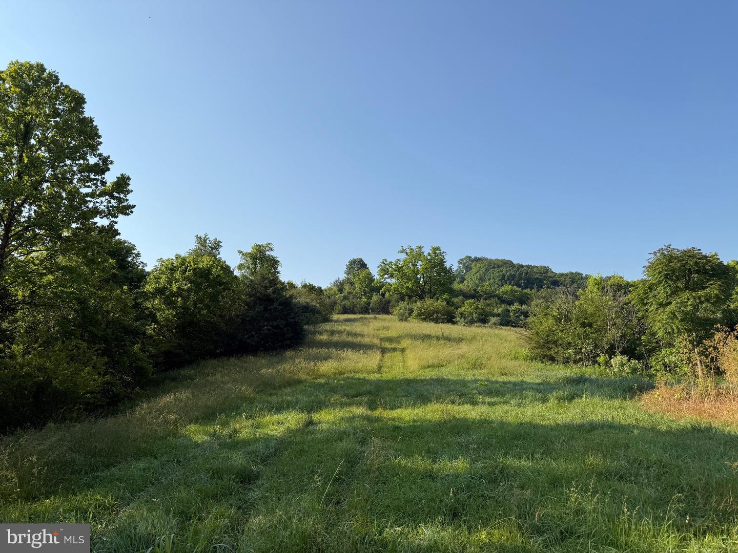 TBD BOULDER LN, DUFFIELD, Virginia 24244, ,Farm,For sale,TBD BOULDER LN,VASO2000008 MLS # VASO2000008