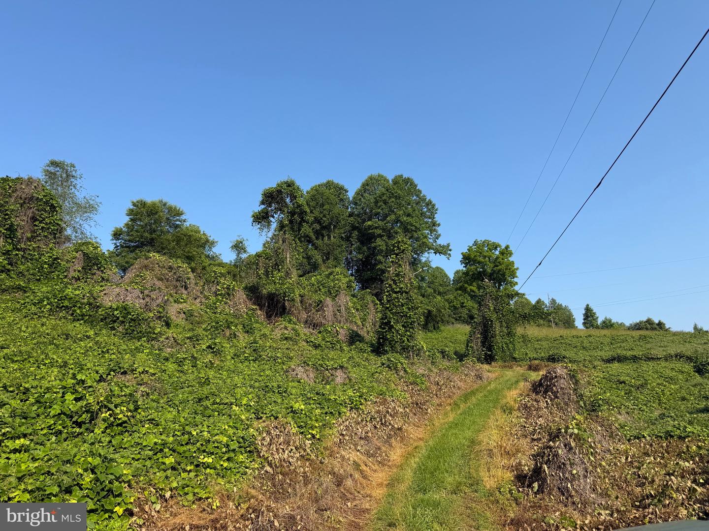TBD BOULDER LN, DUFFIELD, Virginia 24244, ,Farm,For sale,TBD BOULDER LN,VASO2000008 MLS # VASO2000008