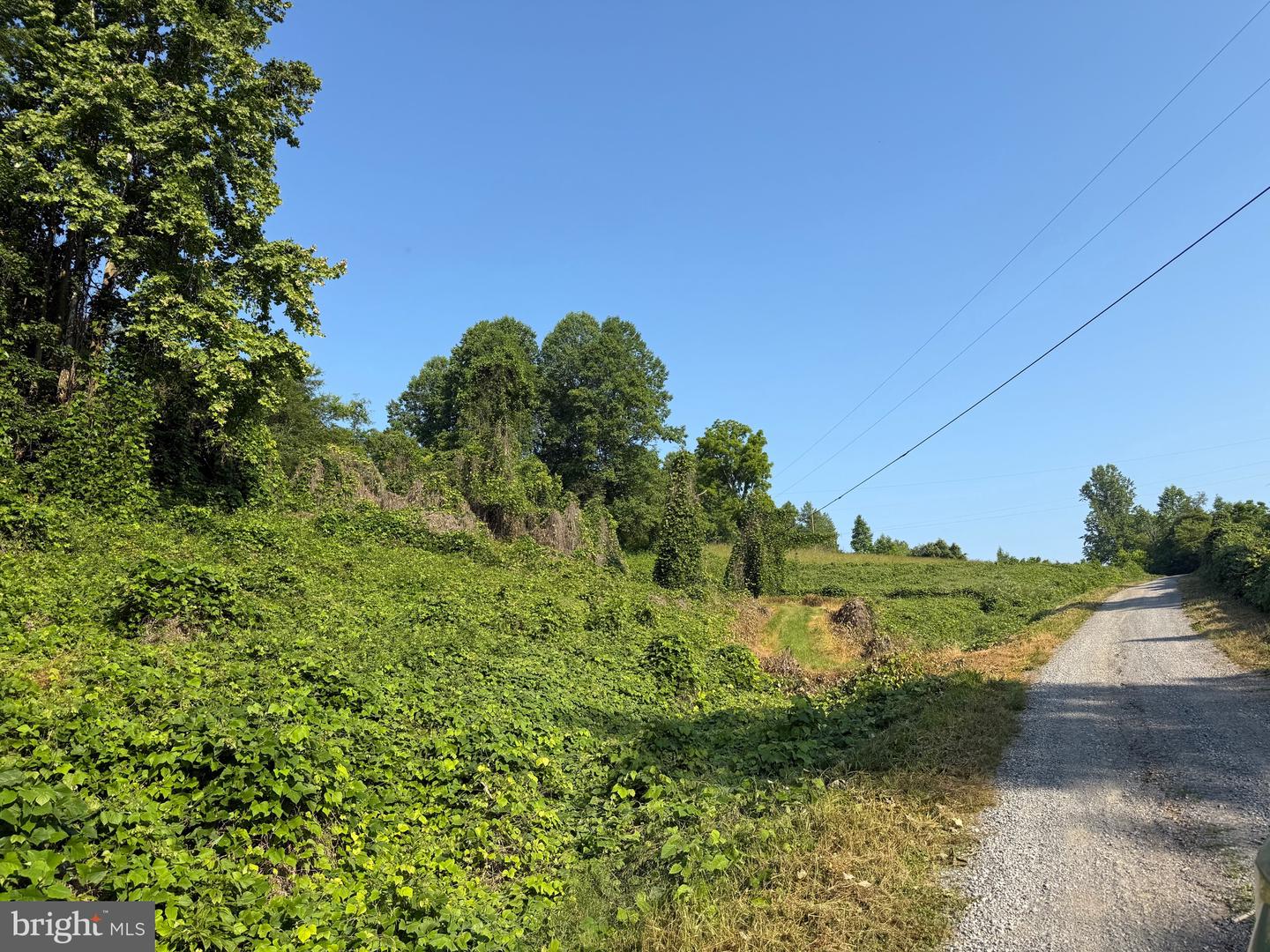 TBD BOULDER LN, DUFFIELD, Virginia 24244, ,Farm,For sale,TBD BOULDER LN,VASO2000008 MLS # VASO2000008