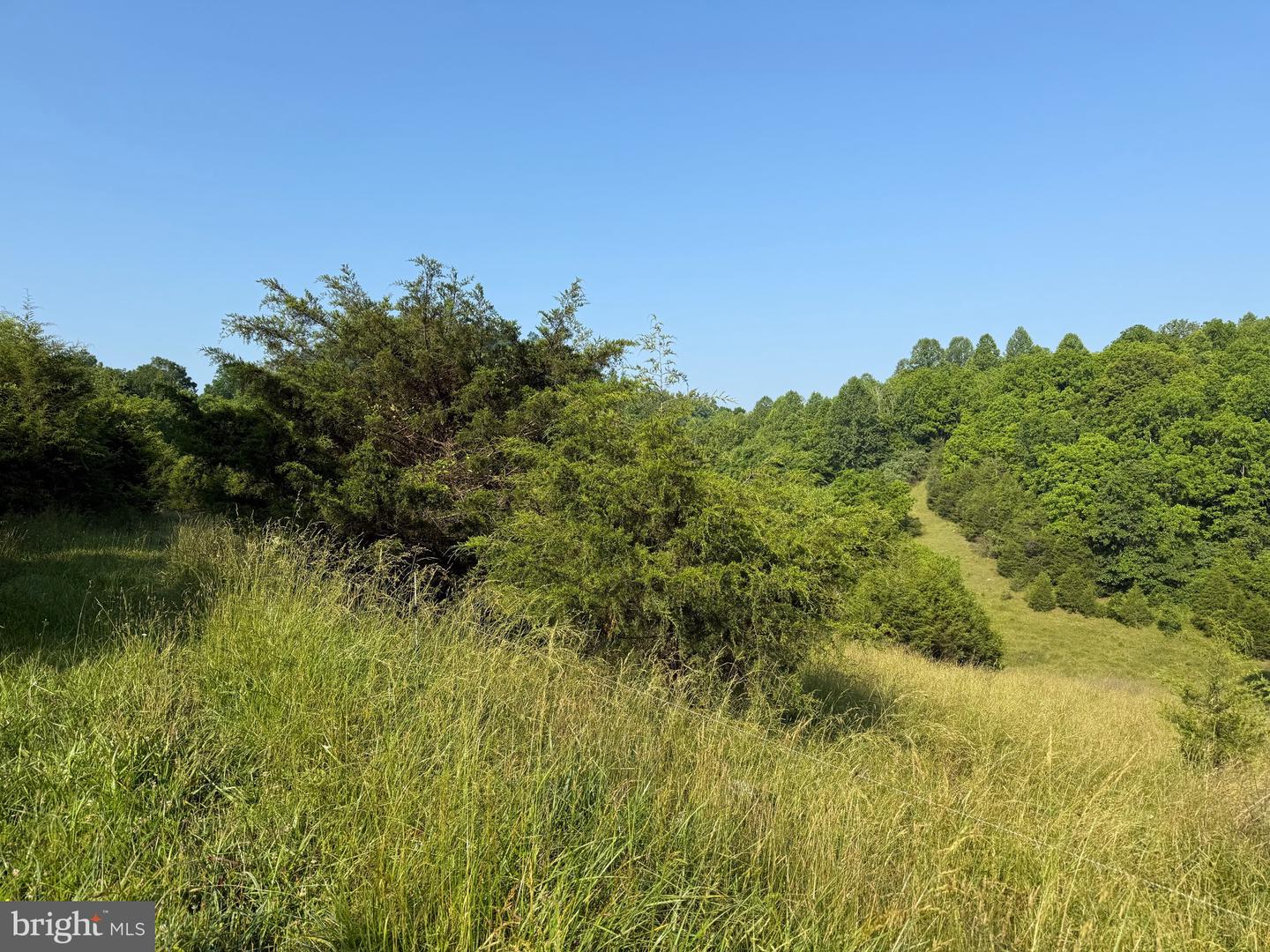 TBD BOULDER LN, DUFFIELD, Virginia 24244, ,Farm,For sale,TBD BOULDER LN,VASO2000008 MLS # VASO2000008