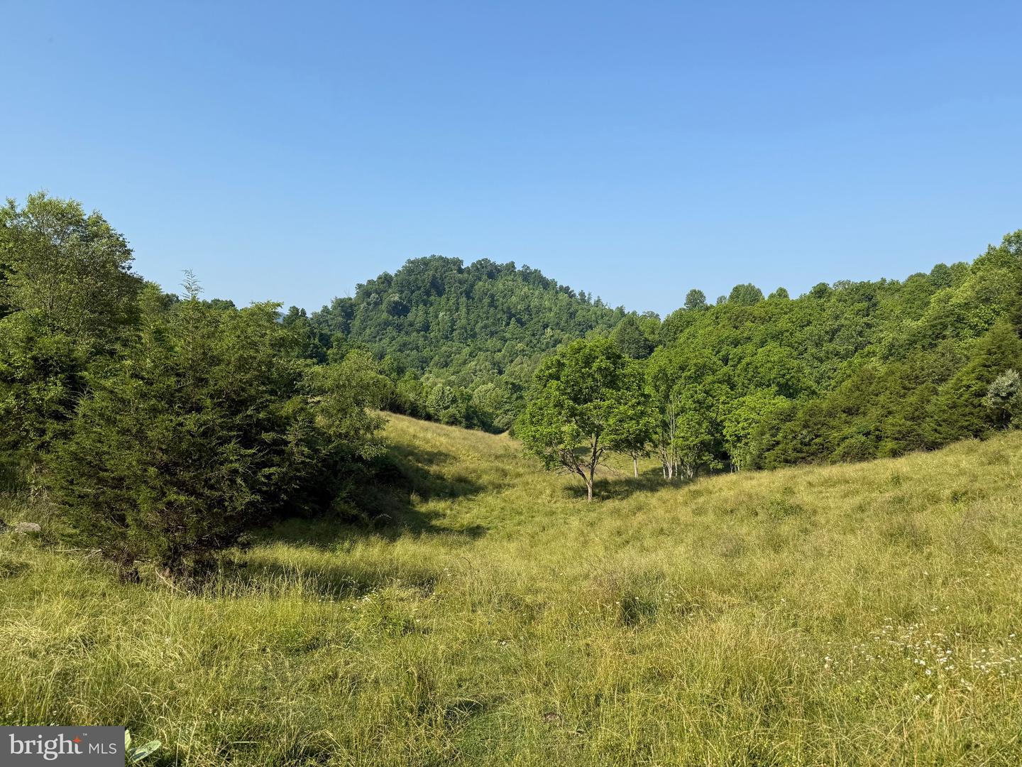 TBD BOULDER LN, DUFFIELD, Virginia 24244, ,Farm,For sale,TBD BOULDER LN,VASO2000008 MLS # VASO2000008