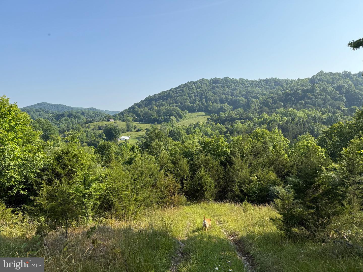 TBD BOULDER LN, DUFFIELD, Virginia 24244, ,Farm,For sale,TBD BOULDER LN,VASO2000008 MLS # VASO2000008