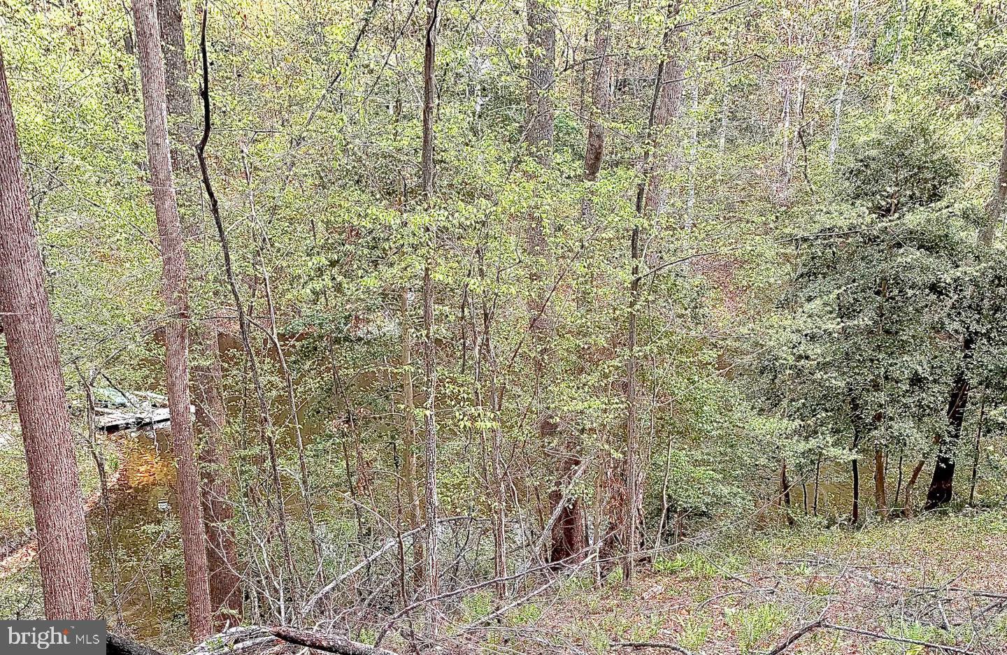 LOT 132 BISHOP DR, MONTROSS, Virginia 22520, ,Land,For sale,LOT 132 BISHOP DR,VAWE2009078 MLS # VAWE2009078