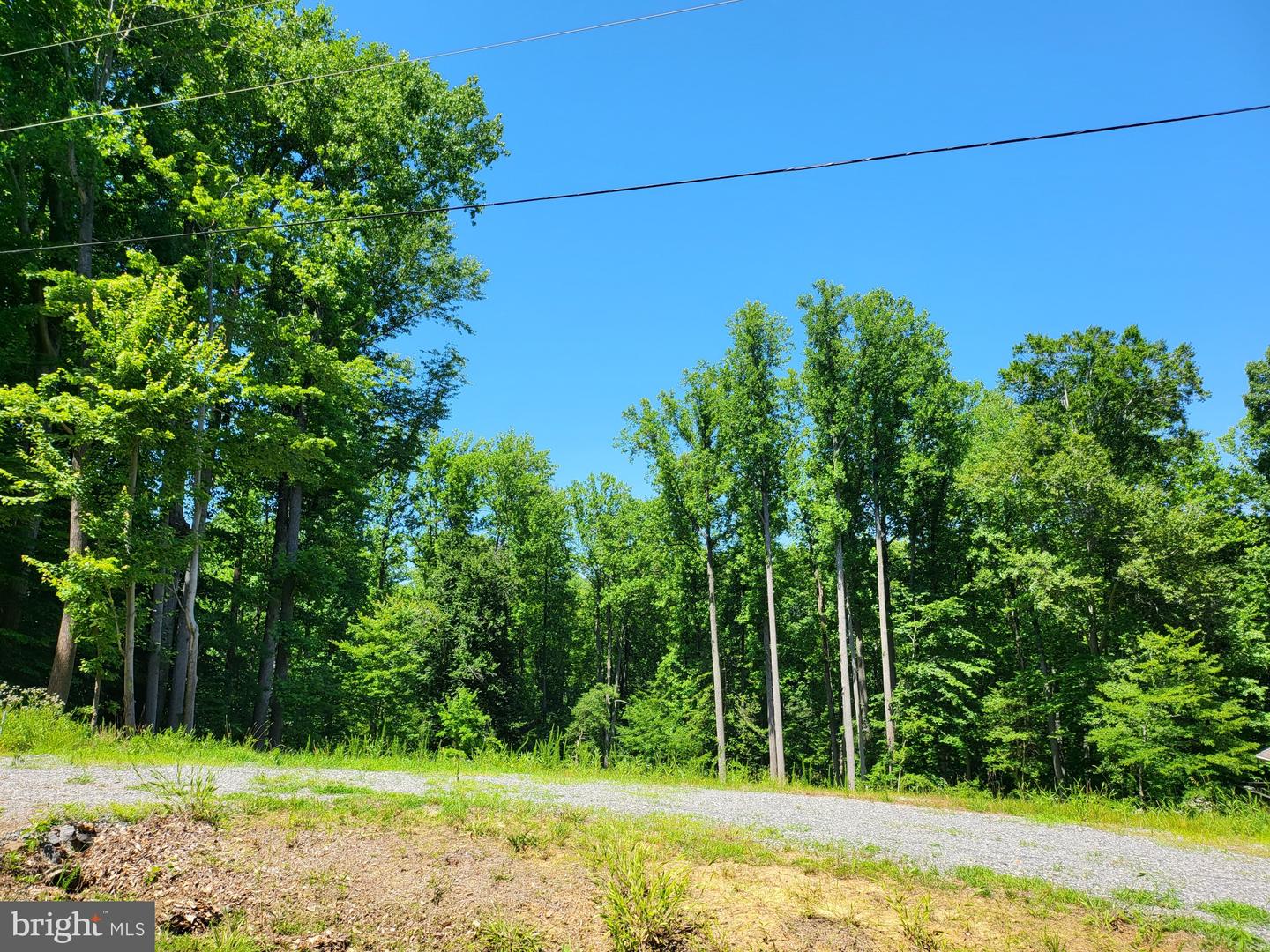 LOT 132 BISHOP DR, MONTROSS, Virginia 22520, ,Land,For sale,LOT 132 BISHOP DR,VAWE2009078 MLS # VAWE2009078