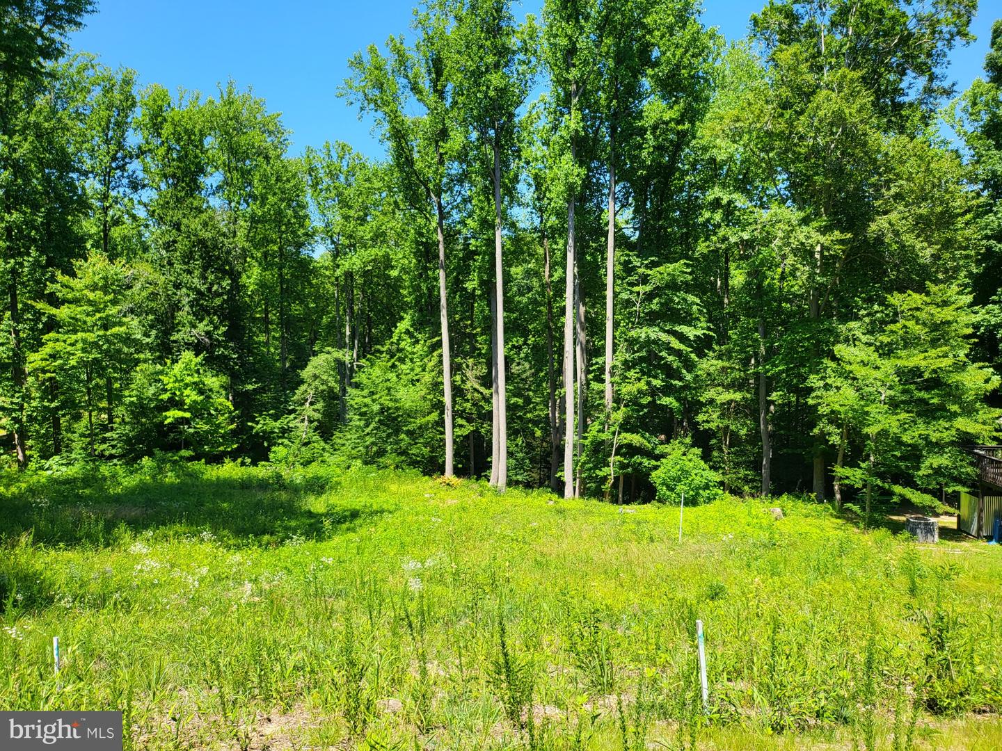 LOT 132 BISHOP DR, MONTROSS, Virginia 22520, ,Land,For sale,LOT 132 BISHOP DR,VAWE2009078 MLS # VAWE2009078