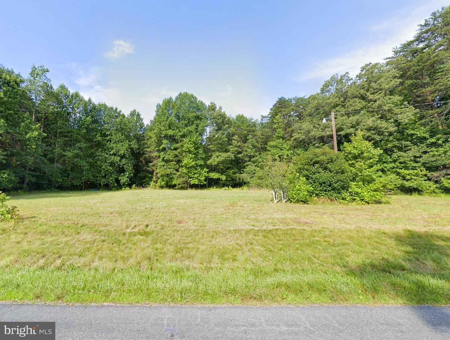 16398 MOUNTAIN TRACK RD, ORANGE, Virginia 22960, ,Land,For sale,16398 MOUNTAIN TRACK RD,VAOR2009884 MLS # VAOR2009884
