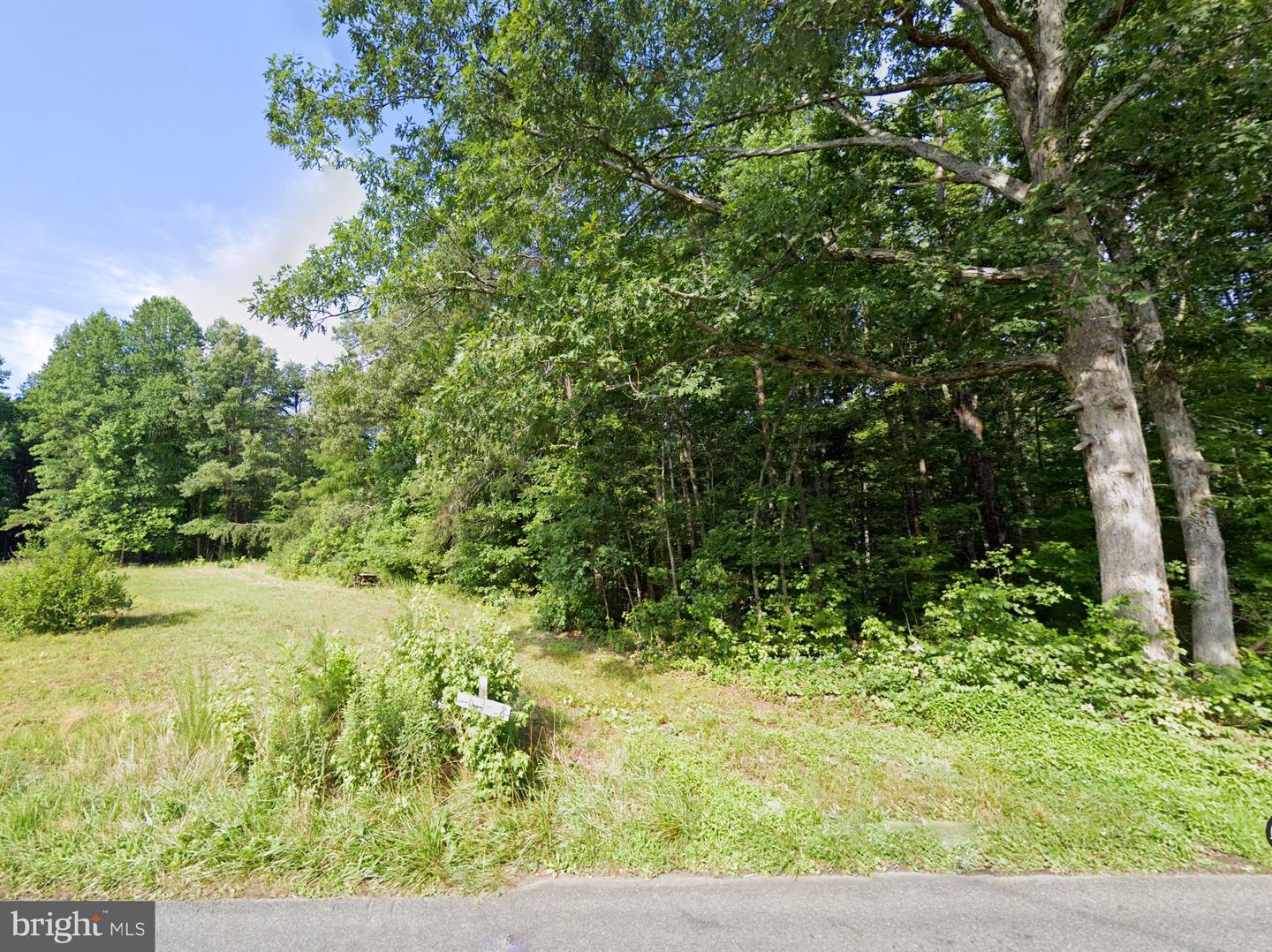 16398 MOUNTAIN TRACK RD, ORANGE, Virginia 22960, ,Land,For sale,16398 MOUNTAIN TRACK RD,VAOR2009884 MLS # VAOR2009884
