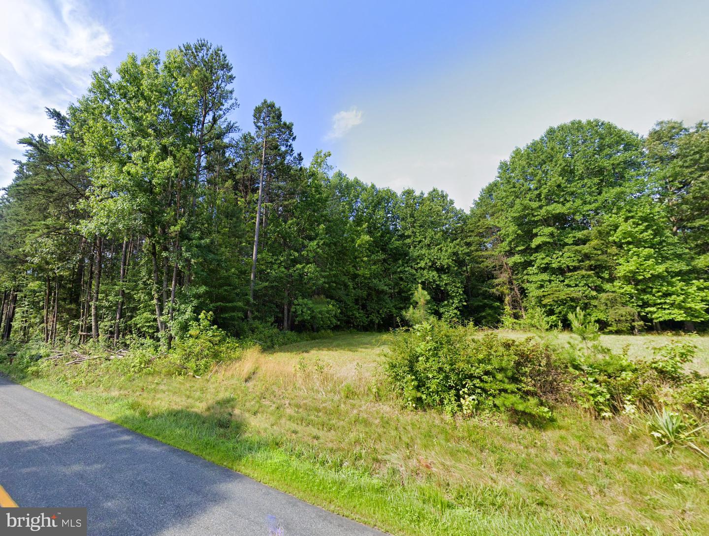 16398 MOUNTAIN TRACK RD, ORANGE, Virginia 22960, ,Land,For sale,16398 MOUNTAIN TRACK RD,VAOR2009884 MLS # VAOR2009884