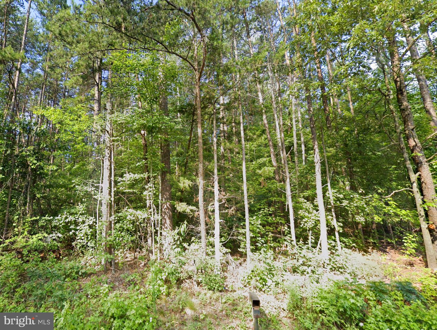 16398 MOUNTAIN TRACK RD, ORANGE, Virginia 22960, ,Land,For sale,16398 MOUNTAIN TRACK RD,VAOR2009884 MLS # VAOR2009884
