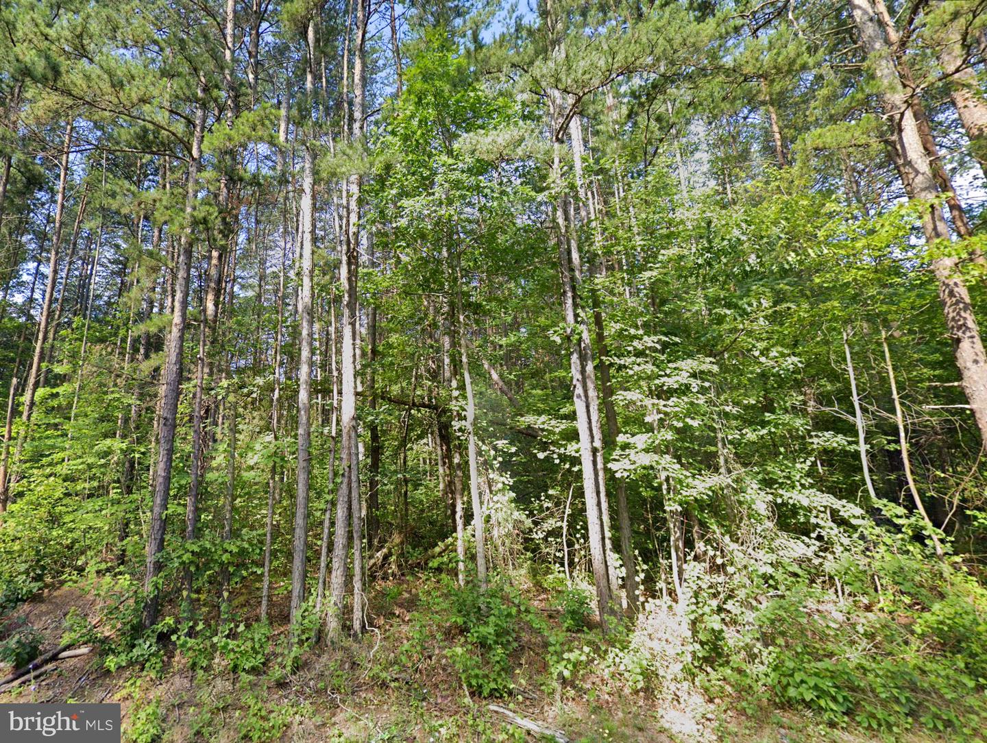16398 MOUNTAIN TRACK RD, ORANGE, Virginia 22960, ,Land,For sale,16398 MOUNTAIN TRACK RD,VAOR2009884 MLS # VAOR2009884
