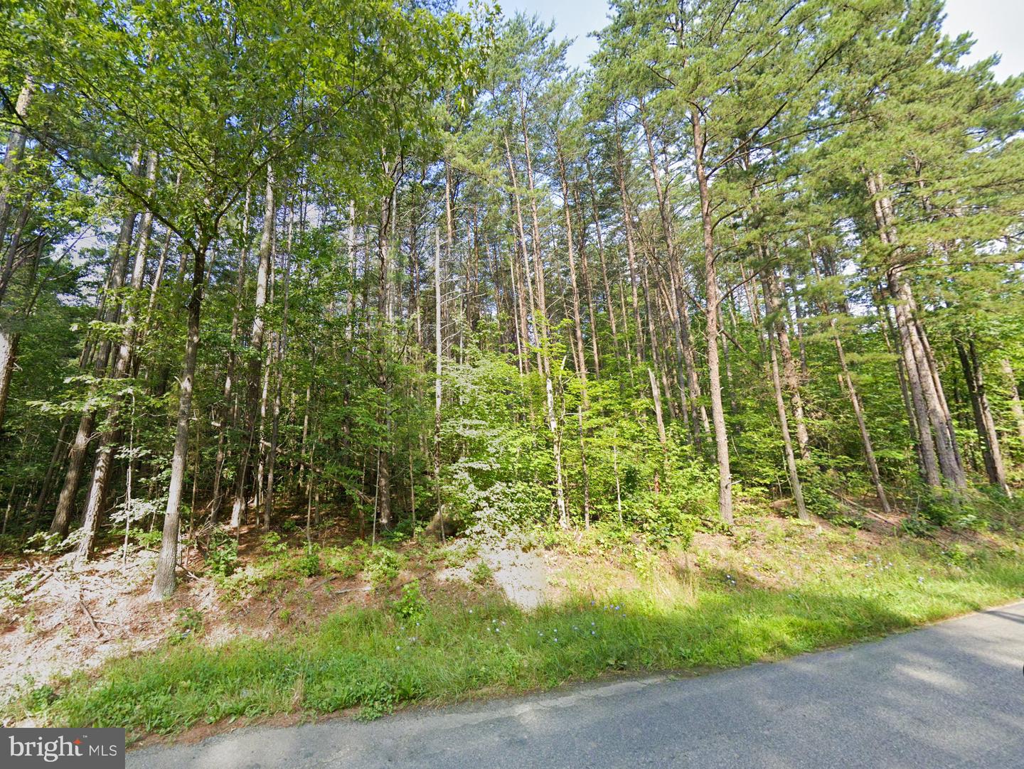 16398 MOUNTAIN TRACK RD, ORANGE, Virginia 22960, ,Land,For sale,16398 MOUNTAIN TRACK RD,VAOR2009884 MLS # VAOR2009884