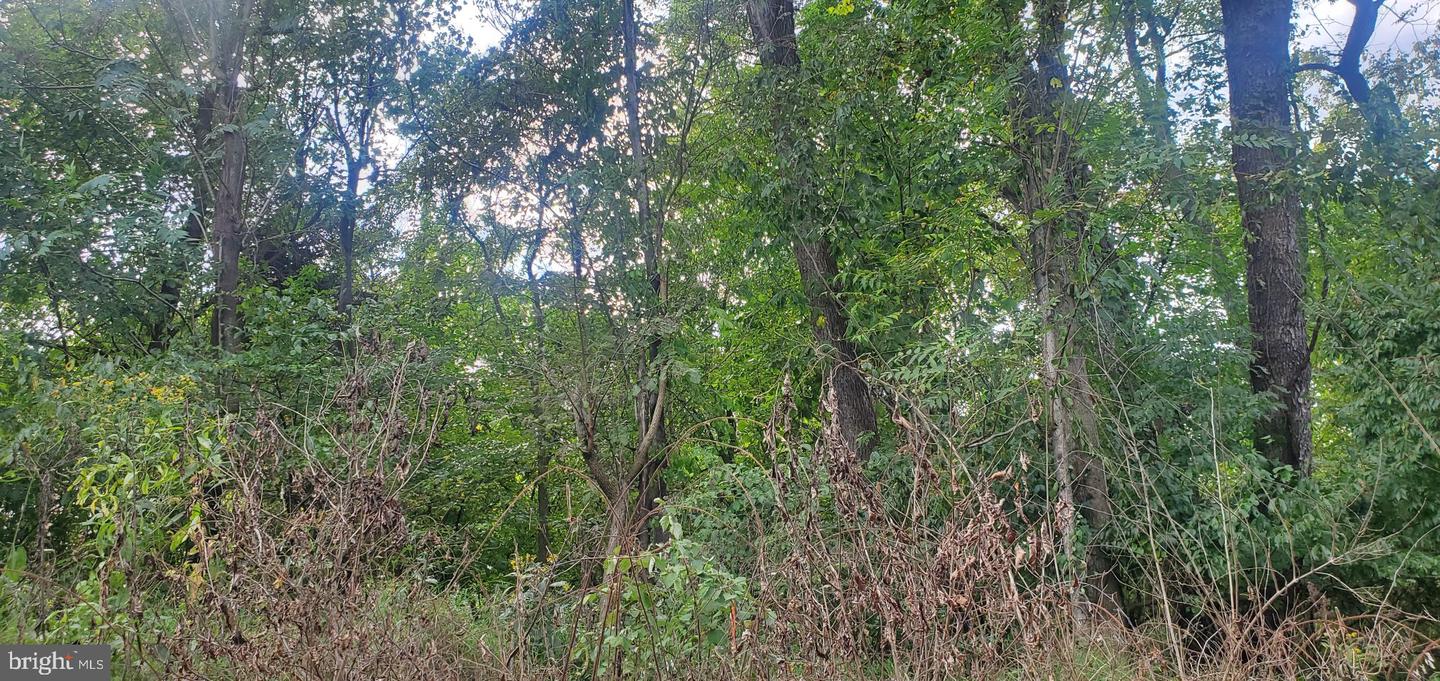 LOT 354 RIVER VIEW SHORES DR, FRONT ROYAL, Virginia 22630, ,Land,For sale,LOT 354 RIVER VIEW SHORES DR,VAWR2011398 MLS # VAWR2011398