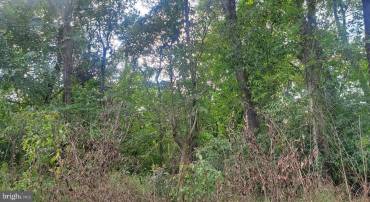 LOT 354 RIVER VIEW SHORES DR, FRONT ROYAL, Virginia 22630, ,Land,For sale,LOT 354 RIVER VIEW SHORES DR,VAWR2011398 MLS # VAWR2011398