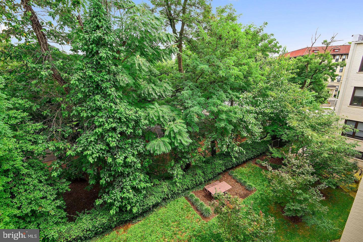 2630 ADAMS MILL RD NW #302, WASHINGTON, District Of Columbia 20009, 1 Bedroom Bedrooms, ,1 BathroomBathrooms,Residential,For sale,2630 ADAMS MILL RD NW #302,DCDC2202592 MLS # DCDC2202592