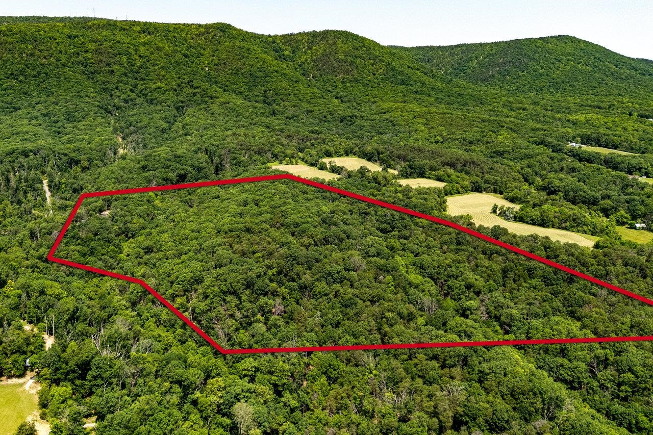 3940 US HWY 340, STANLEY, Virginia 22851, 1 Bedroom Bedrooms, ,2 BathroomsBathrooms,Residential,3940 US HWY 340,665496 MLS # 665496