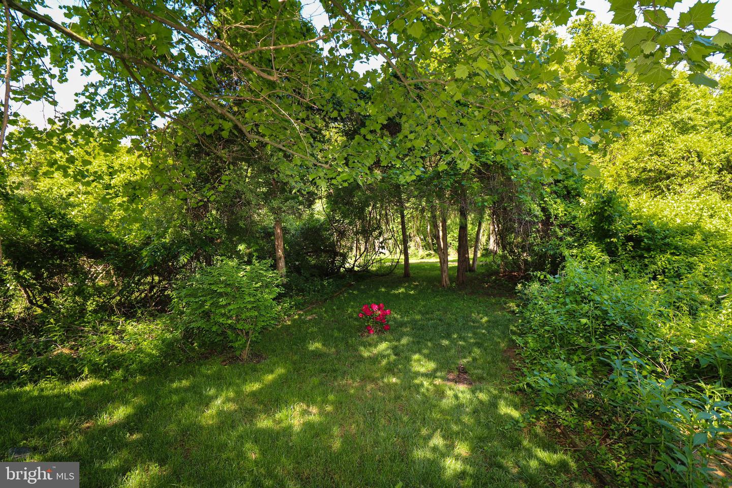 40 RIPLEY RD, STAFFORD, Virginia 22556, 5 Bedrooms Bedrooms, ,3 BathroomsBathrooms,Residential,For sale,40 RIPLEY RD,VAST2039430 MLS # VAST2039430
