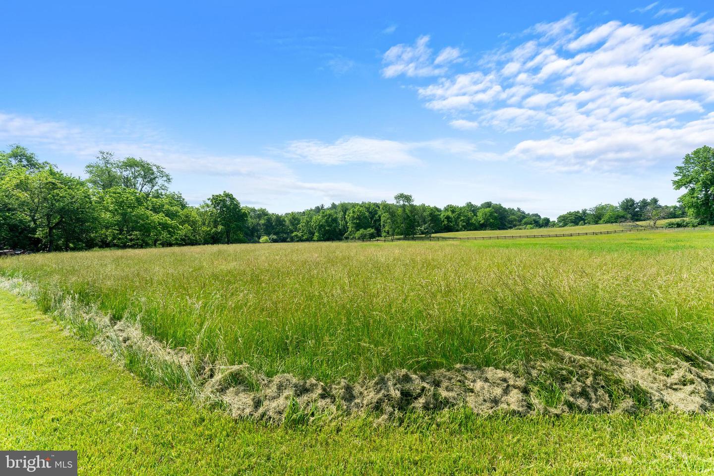 39627 RODEFFER RD, LOVETTSVILLE, Virginia 20180, 4 Bedrooms Bedrooms, ,3 BathroomsBathrooms,Residential,For sale,39627 RODEFFER RD,VALO2098578 MLS # VALO2098578