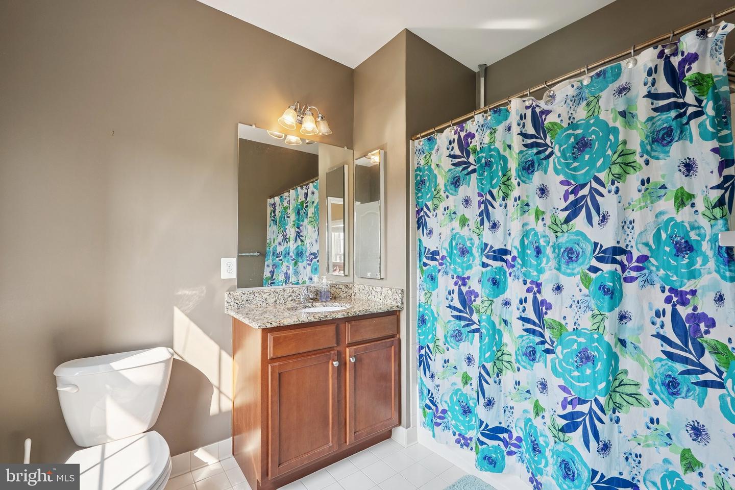 21550 WILD TIMBER CT, BROADLANDS, Virginia 20148, 5 Bedrooms Bedrooms, ,5 BathroomsBathrooms,Residential,For sale,21550 WILD TIMBER CT,VALO2098744 MLS # VALO2098744