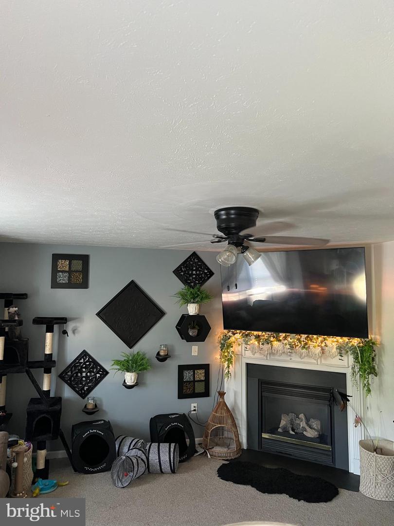 102 ZEPHYR LN, WINCHESTER, Virginia 22602, 3 Bedrooms Bedrooms, 6 Rooms Rooms,1 BathroomBathrooms,Residential,For sale,102 ZEPHYR LN,VAFV2034668 MLS # VAFV2034668