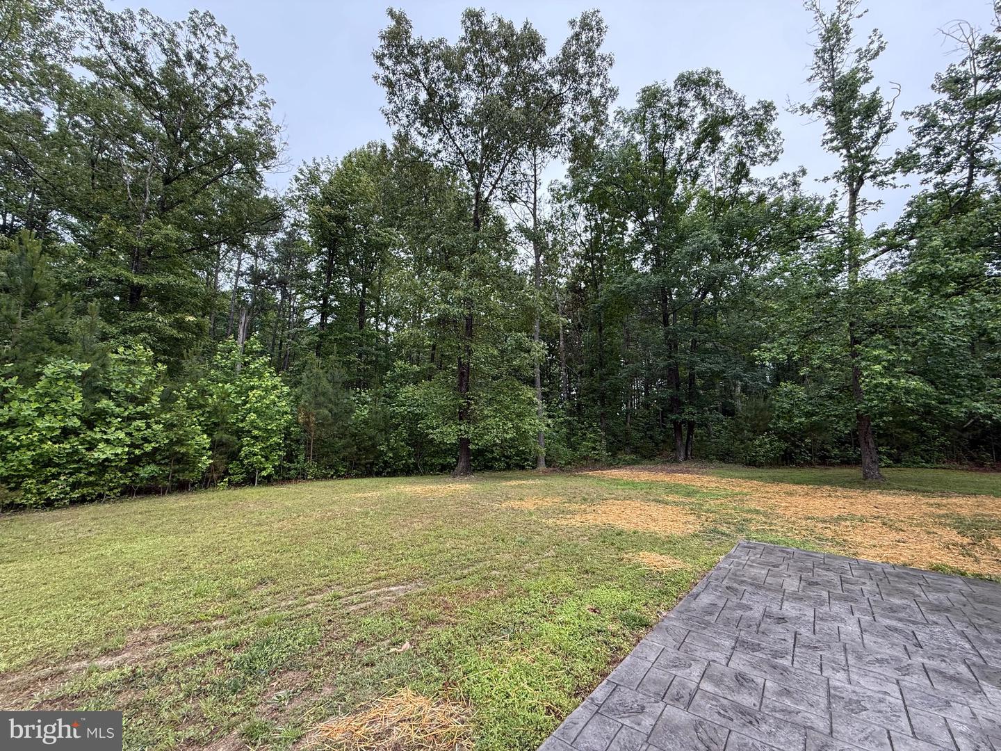 27217 DORIS LN, RUTHER GLEN, Virginia 22546, 4 Bedrooms Bedrooms, ,2 BathroomsBathrooms,Residential,For sale,27217 DORIS LN,VACV2008254 MLS # VACV2008254