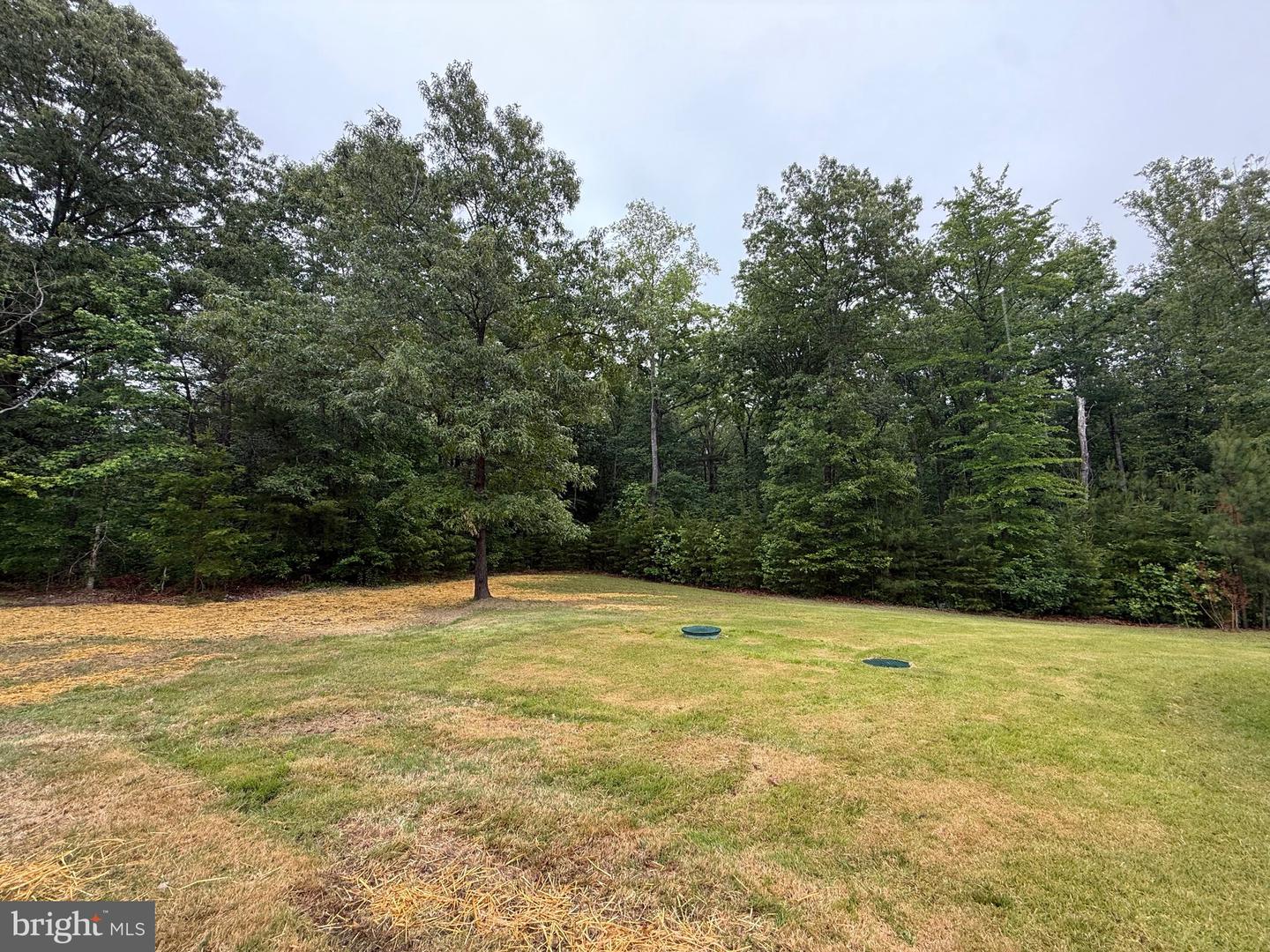 27217 DORIS LN, RUTHER GLEN, Virginia 22546, 4 Bedrooms Bedrooms, ,2 BathroomsBathrooms,Residential,For sale,27217 DORIS LN,VACV2008254 MLS # VACV2008254