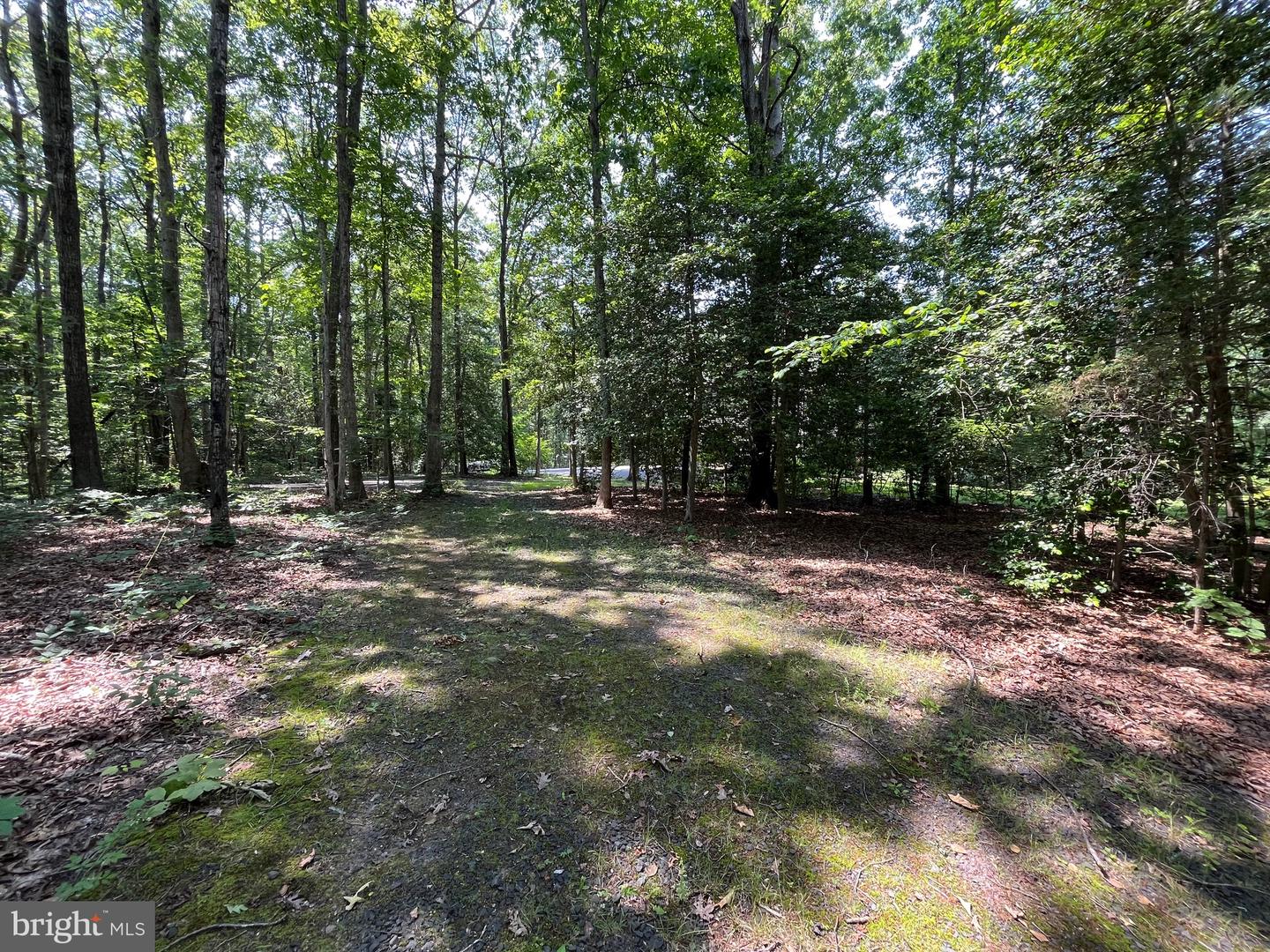 11459 BRISTERSBURG RD, CATLETT, Virginia 20119, 5 Bedrooms Bedrooms, ,3 BathroomsBathrooms,Residential,For sale,11459 BRISTERSBURG RD,VAFQ2016946 MLS # VAFQ2016946