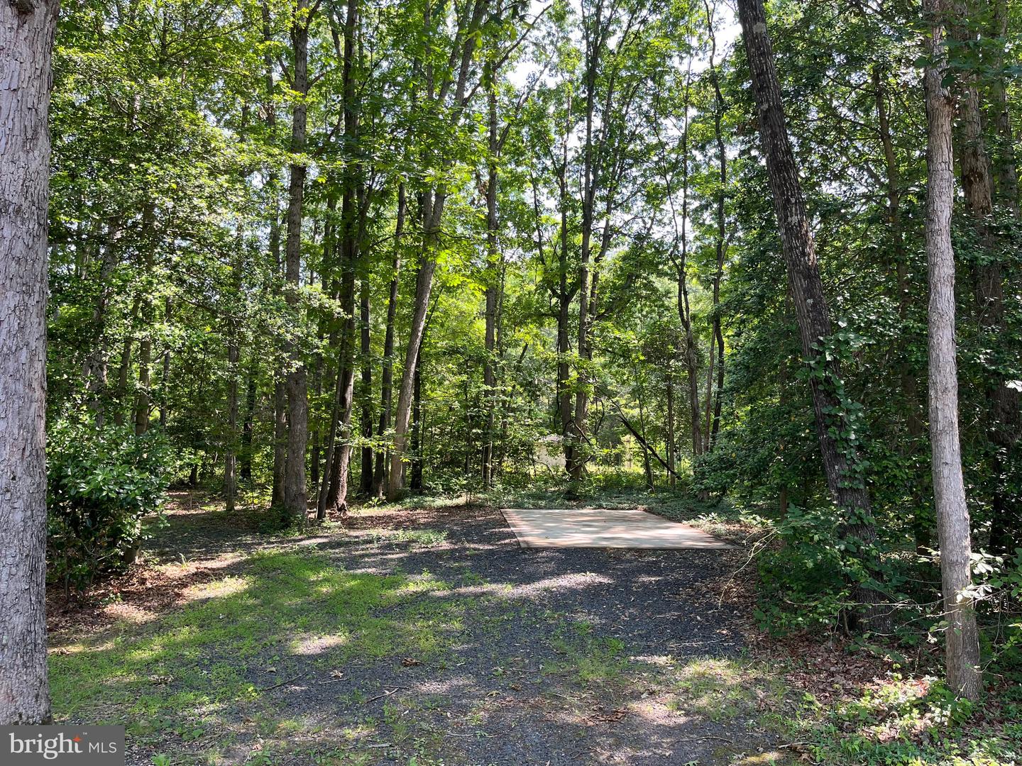 11459 BRISTERSBURG RD, CATLETT, Virginia 20119, 5 Bedrooms Bedrooms, ,3 BathroomsBathrooms,Residential,For sale,11459 BRISTERSBURG RD,VAFQ2016946 MLS # VAFQ2016946