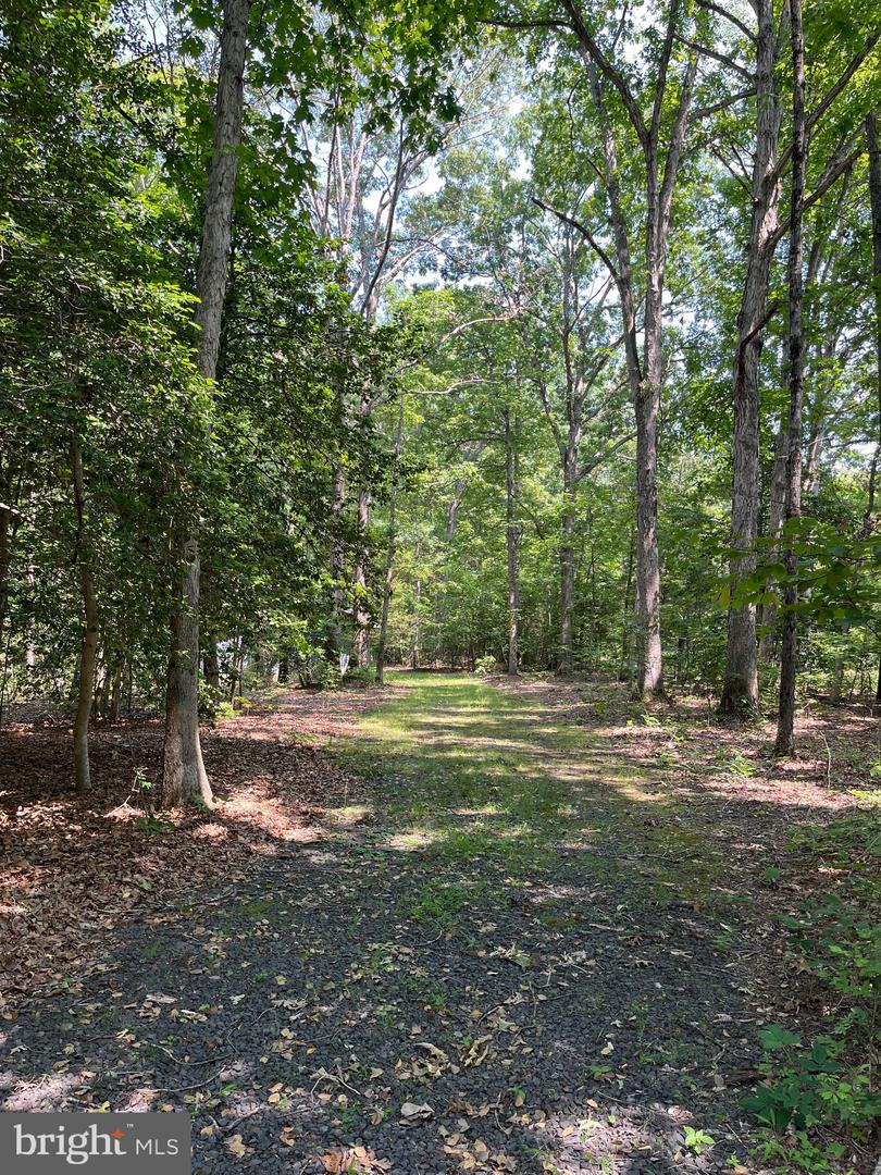 11459 BRISTERSBURG RD, CATLETT, Virginia 20119, 5 Bedrooms Bedrooms, ,3 BathroomsBathrooms,Residential,For sale,11459 BRISTERSBURG RD,VAFQ2016946 MLS # VAFQ2016946