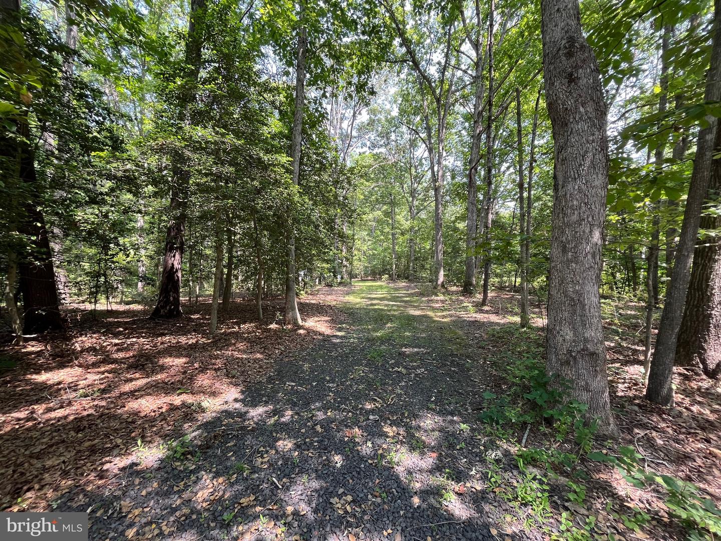 11459 BRISTERSBURG RD, CATLETT, Virginia 20119, 5 Bedrooms Bedrooms, ,3 BathroomsBathrooms,Residential,For sale,11459 BRISTERSBURG RD,VAFQ2016946 MLS # VAFQ2016946
