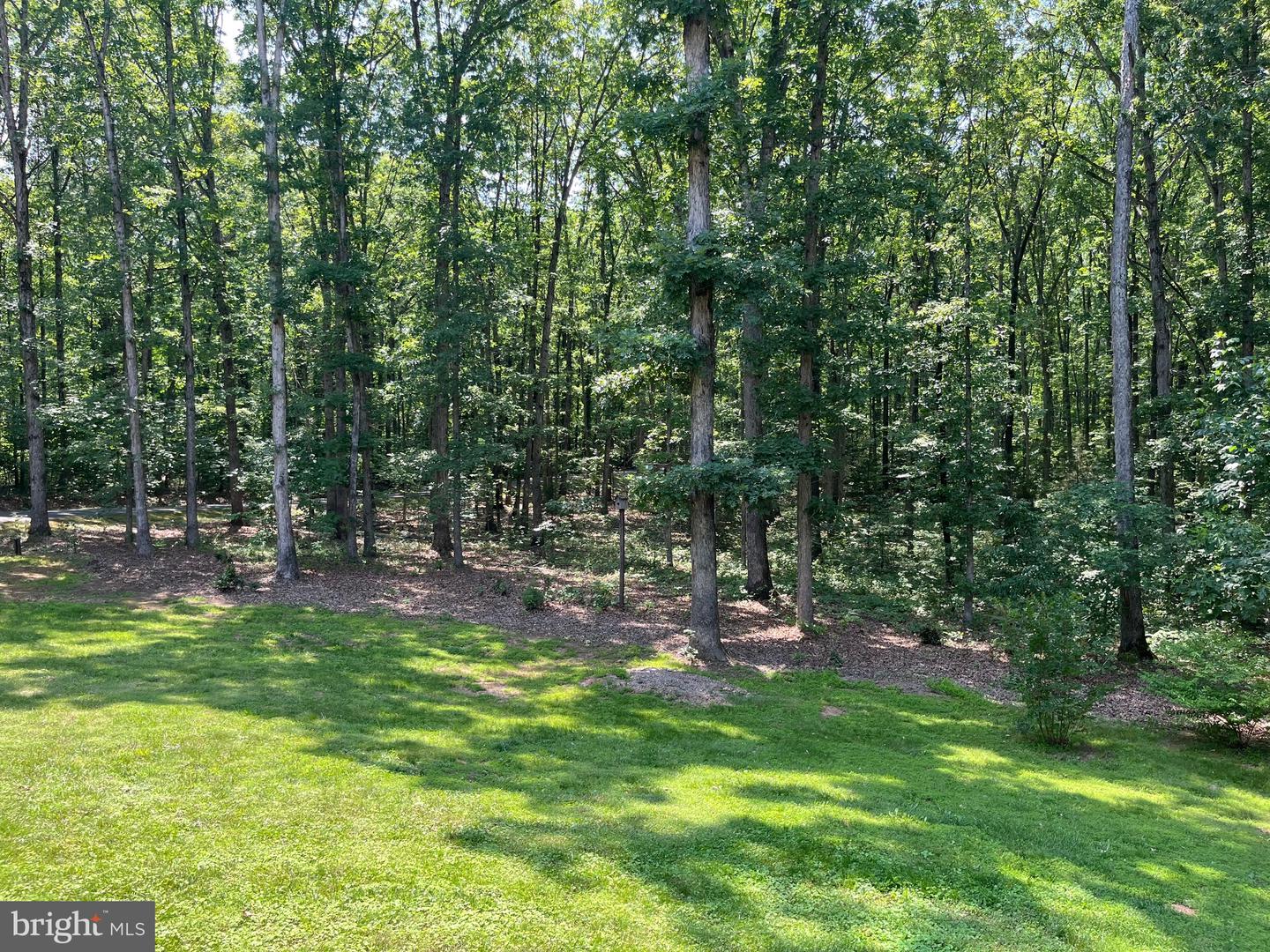 11459 BRISTERSBURG RD, CATLETT, Virginia 20119, 5 Bedrooms Bedrooms, ,3 BathroomsBathrooms,Residential,For sale,11459 BRISTERSBURG RD,VAFQ2016946 MLS # VAFQ2016946