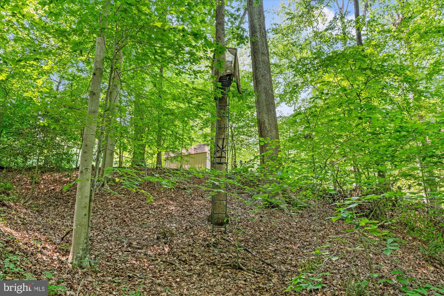 8112 VISTA POINT LN, FAIRFAX STATION, Virginia 22039, 5 Bedrooms Bedrooms, ,4 BathroomsBathrooms,Residential,For sale,8112 VISTA POINT LN,VAFX2245788 MLS # VAFX2245788