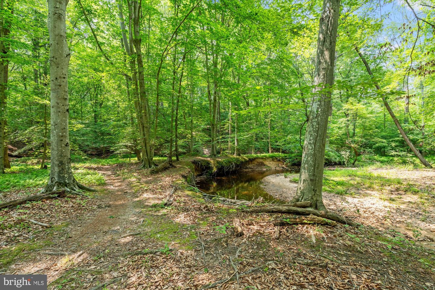 8112 VISTA POINT LN, FAIRFAX STATION, Virginia 22039, 5 Bedrooms Bedrooms, ,4 BathroomsBathrooms,Residential,For sale,8112 VISTA POINT LN,VAFX2245788 MLS # VAFX2245788
