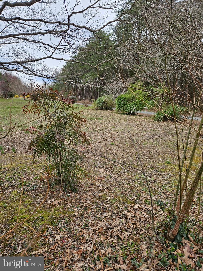 16317 SOUTH RIVER ROAD, WOODFORD, Virginia 22580, 3 Bedrooms Bedrooms, 6 Rooms Rooms,2 BathroomsBathrooms,Residential,For sale,16317 SOUTH RIVER ROAD,VACV2008260 MLS # VACV2008260