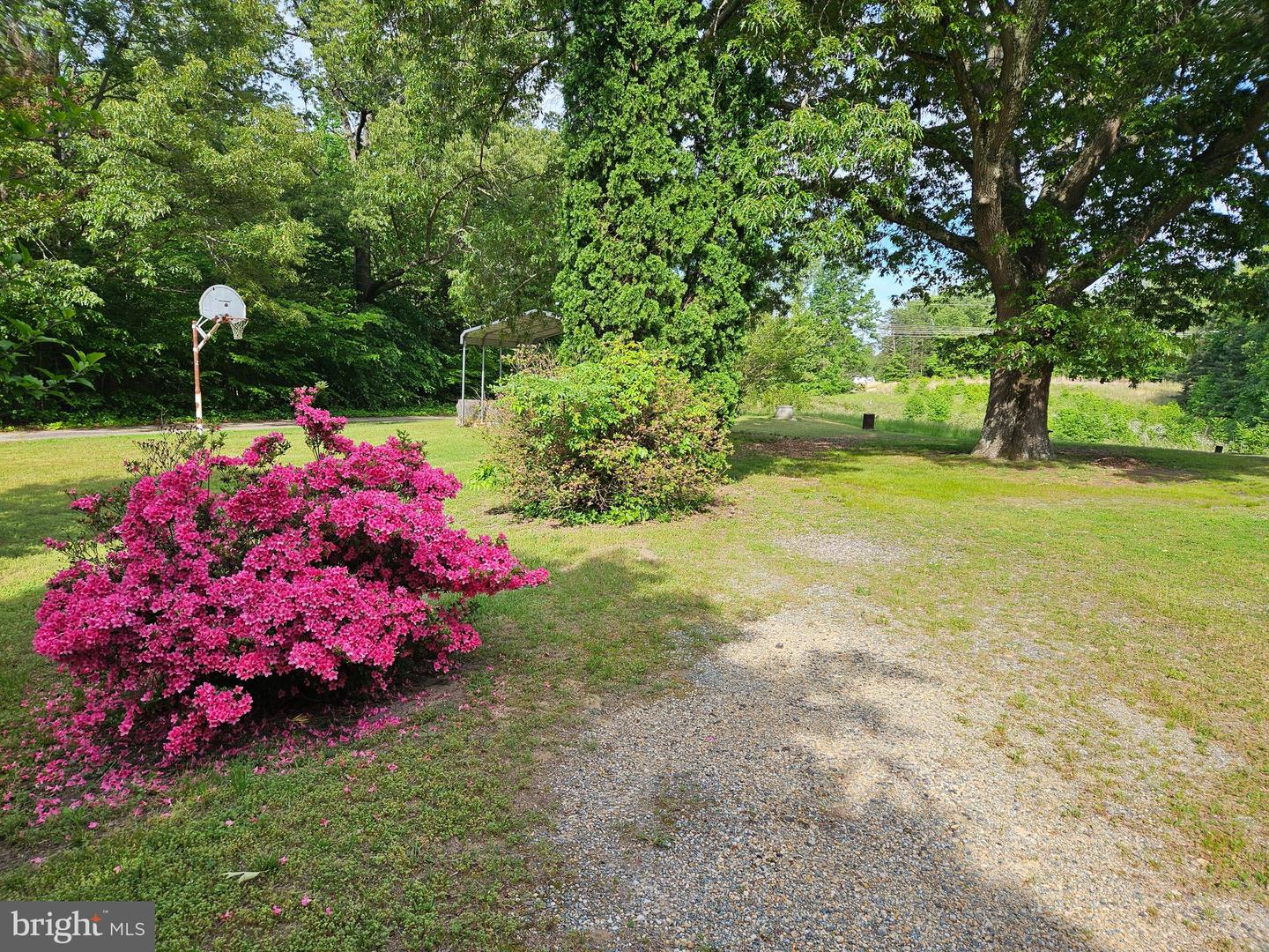 16317 SOUTH RIVER ROAD, WOODFORD, Virginia 22580, 3 Bedrooms Bedrooms, 6 Rooms Rooms,2 BathroomsBathrooms,Residential,For sale,16317 SOUTH RIVER ROAD,VACV2008260 MLS # VACV2008260