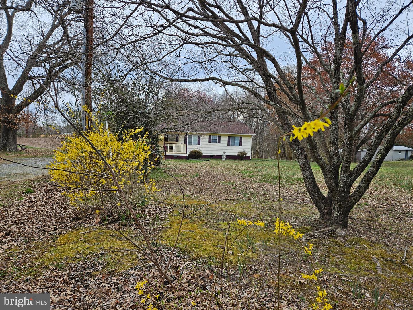 16317 SOUTH RIVER ROAD, WOODFORD, Virginia 22580, 3 Bedrooms Bedrooms, 6 Rooms Rooms,2 BathroomsBathrooms,Residential,For sale,16317 SOUTH RIVER ROAD,VACV2008260 MLS # VACV2008260