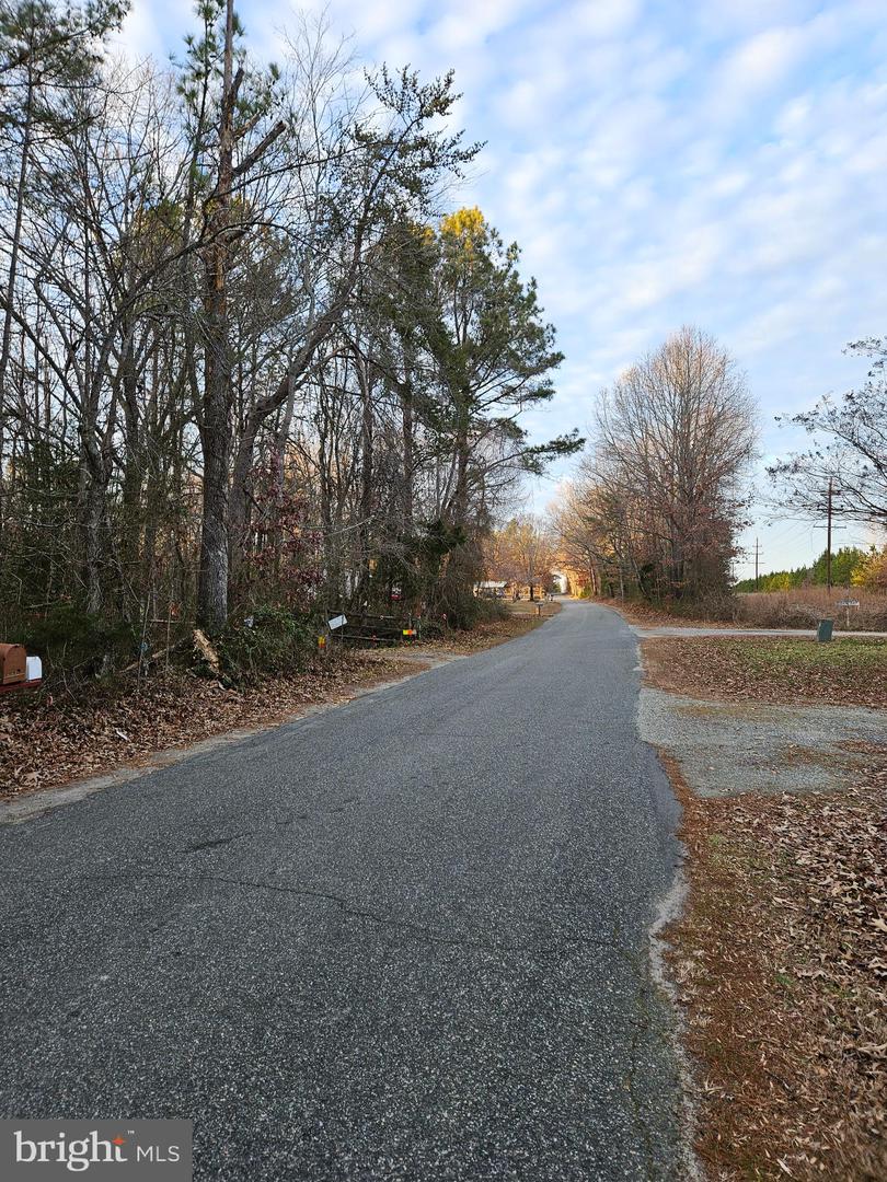 16317 SOUTH RIVER ROAD, WOODFORD, Virginia 22580, 3 Bedrooms Bedrooms, 6 Rooms Rooms,2 BathroomsBathrooms,Residential,For sale,16317 SOUTH RIVER ROAD,VACV2008260 MLS # VACV2008260