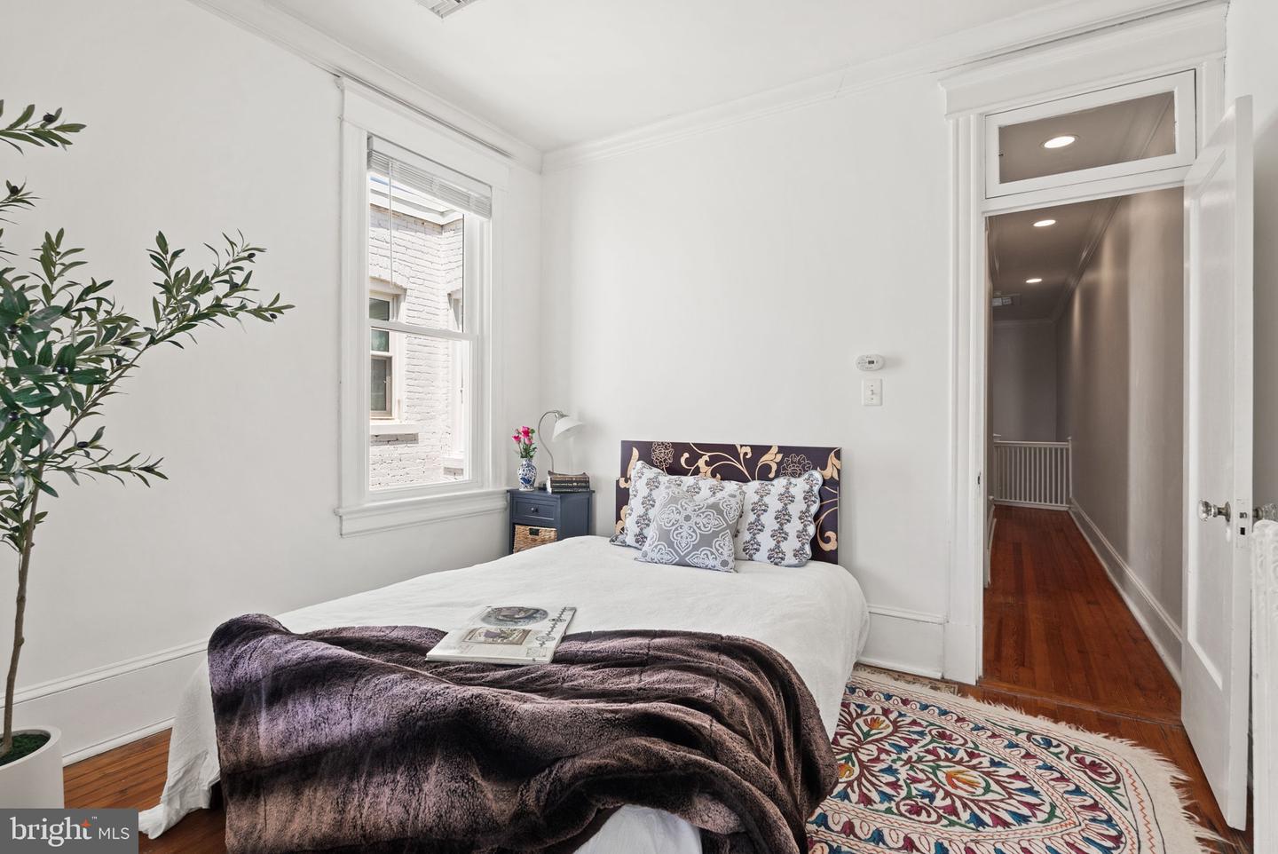 1716 EUCLID ST NW, WASHINGTON, District Of Columbia 20009, 4 Bedrooms Bedrooms, ,3 BathroomsBathrooms,Residential,For sale,1716 EUCLID ST NW,DCDC2204480 MLS # DCDC2204480