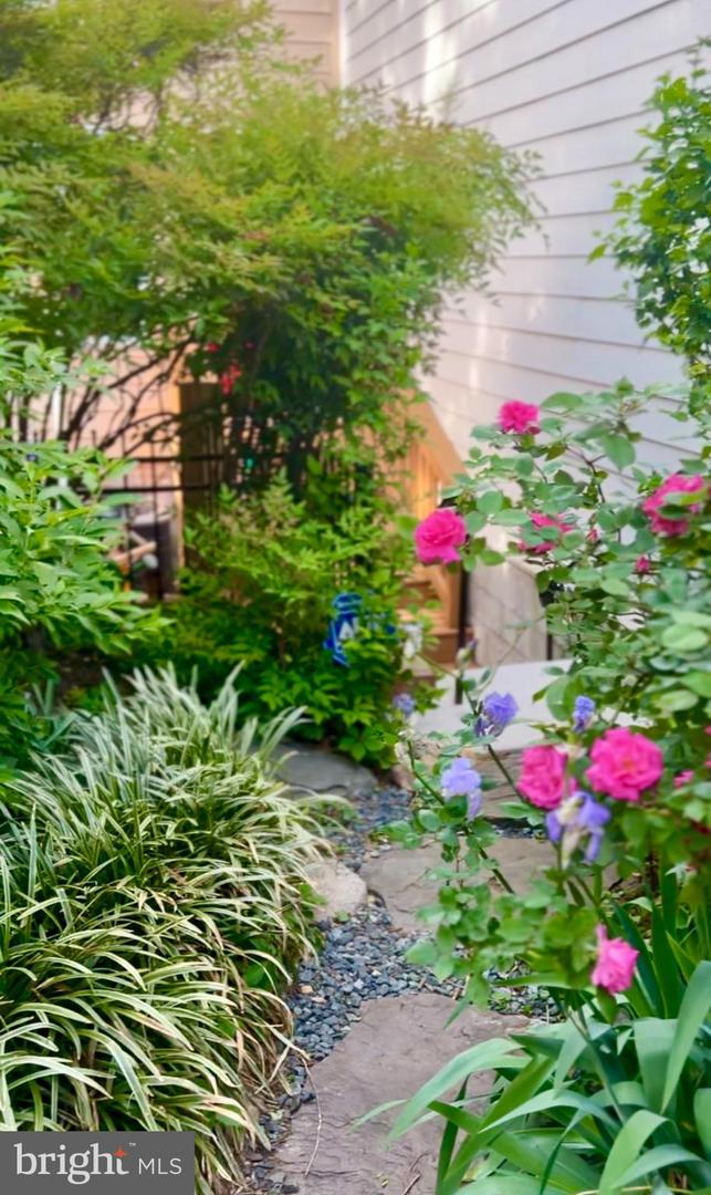 1716 EUCLID ST NW, WASHINGTON, District Of Columbia 20009, 4 Bedrooms Bedrooms, ,3 BathroomsBathrooms,Residential,For sale,1716 EUCLID ST NW,DCDC2204480 MLS # DCDC2204480