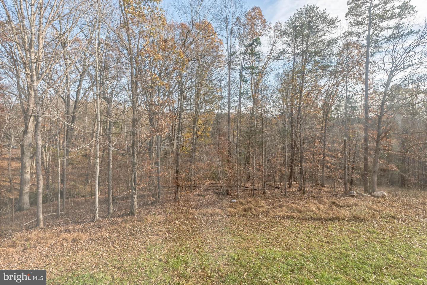 7599 SECRETARYS SAND RD, SCHUYLER, Virginia 22969, 3 Bedrooms Bedrooms, ,2 BathroomsBathrooms,Residential,For sale,7599 SECRETARYS SAND RD,VAAB2001004 MLS # VAAB2001004